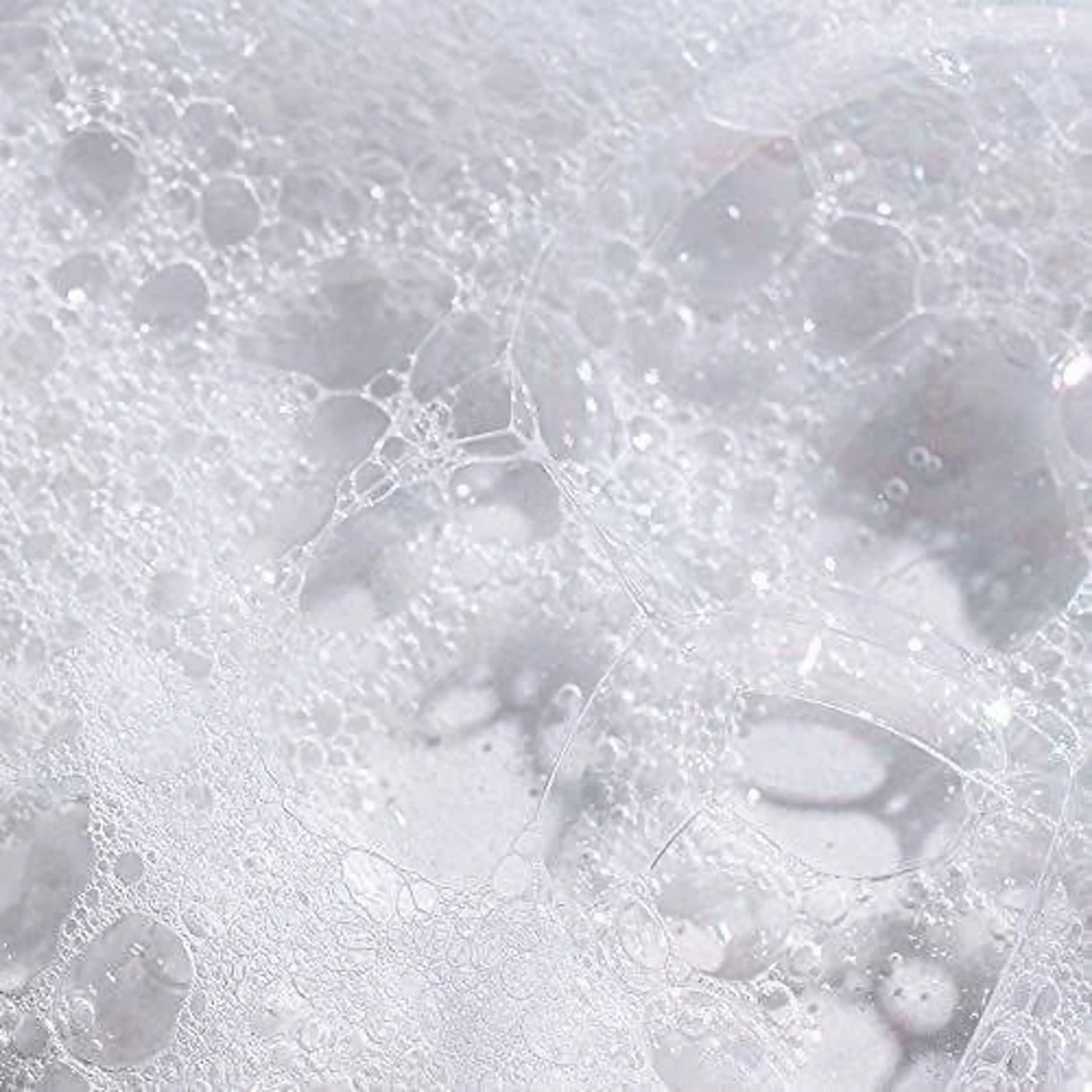 Cut + SPA   ¥7,000~の写真