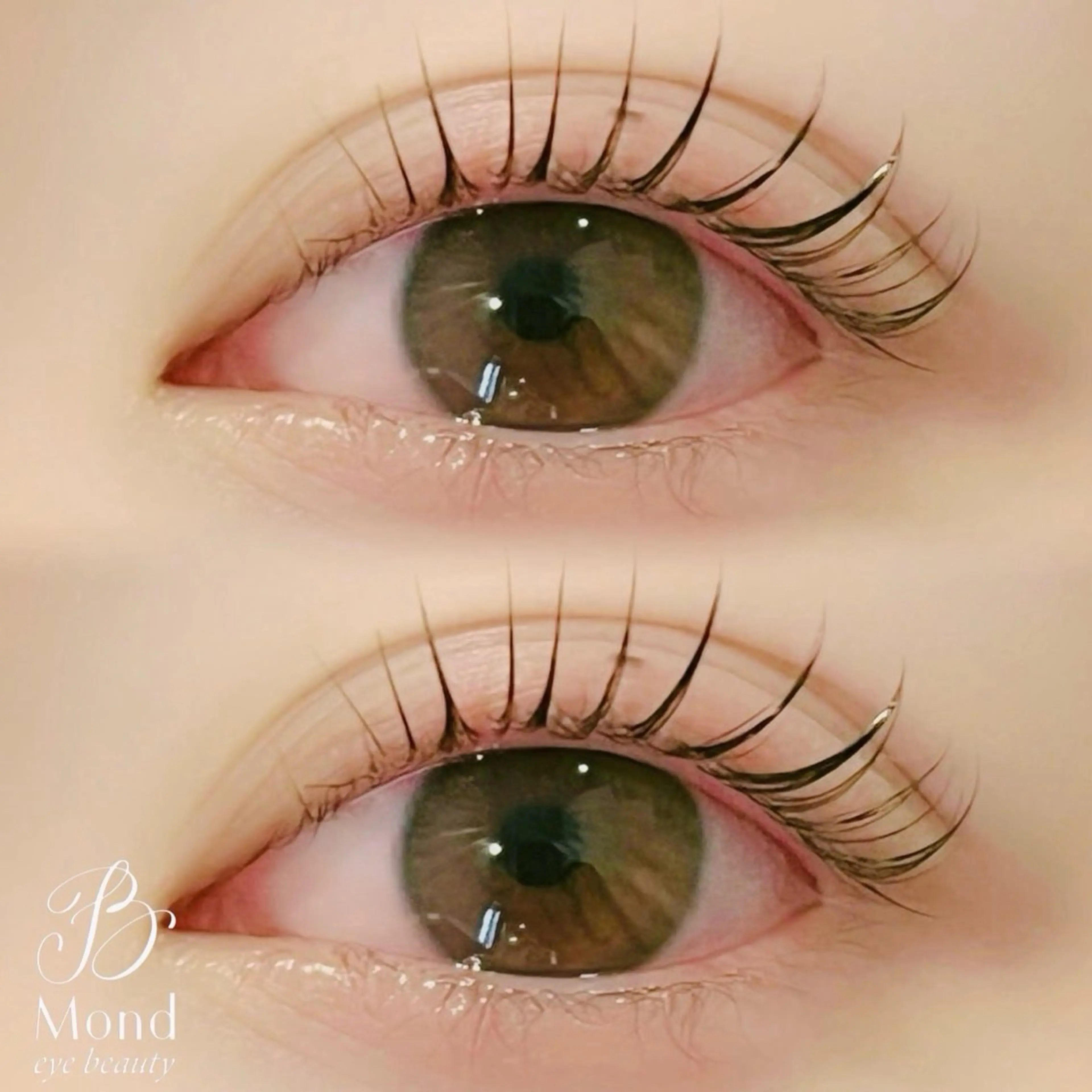 【4月15日限定メニュー】パリジェンヌor選べるデザインまつ毛パーマ(上下) ¥8800→¥0の写真