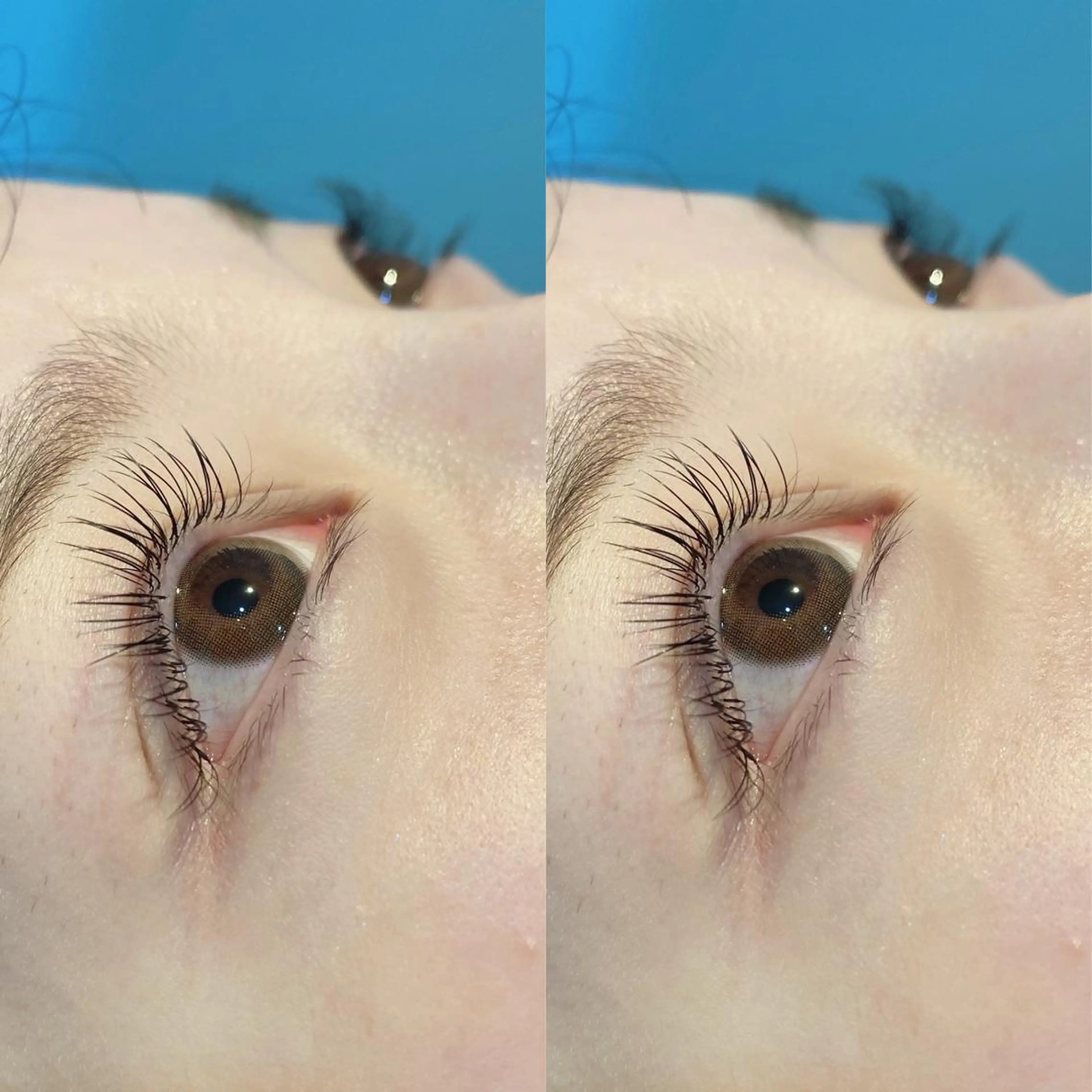 マツエク・マツパ Cカール フラットラッシュ Bianca 長津田店　長牛の眉毛・アイブロウイメージ