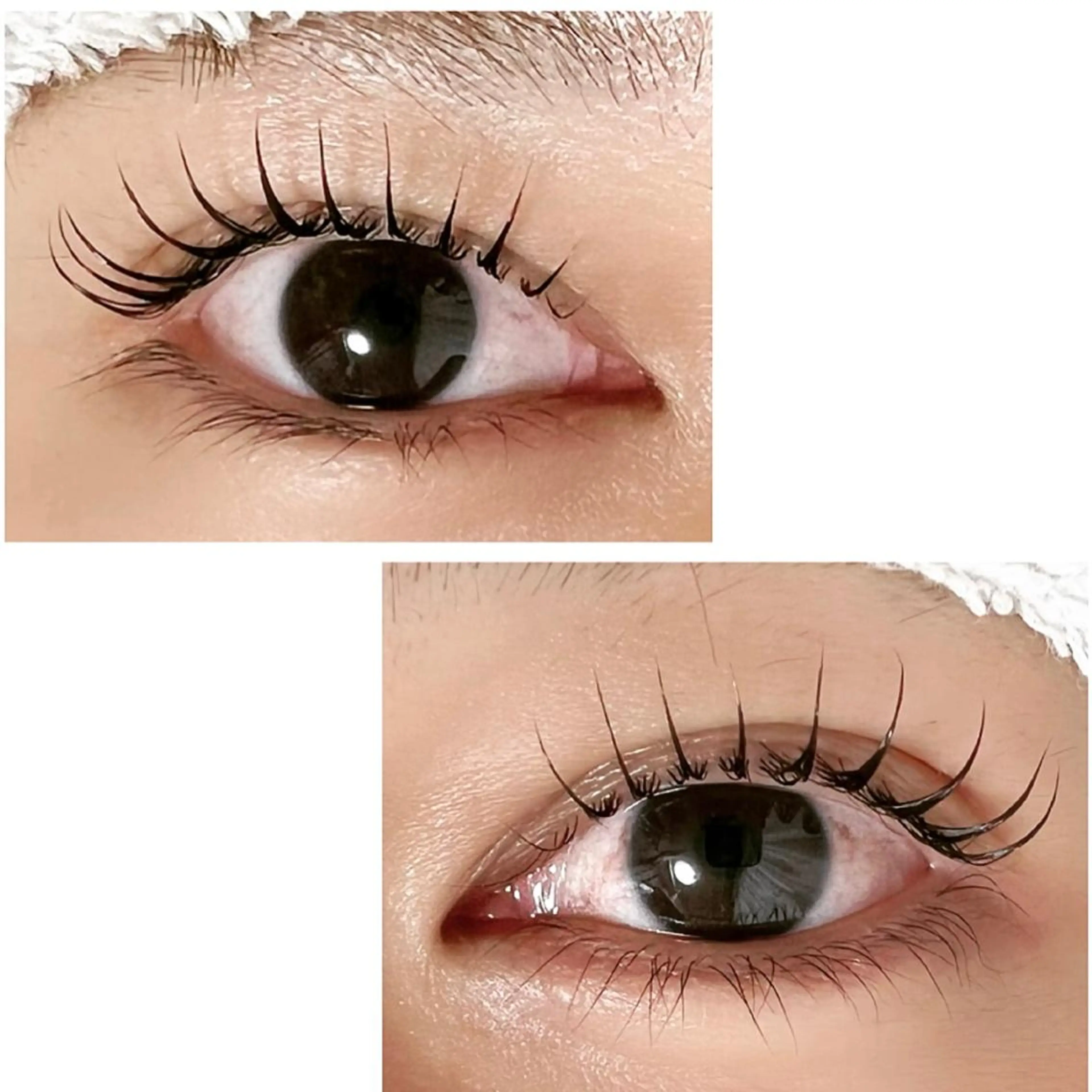 マツエク・マツパ Adorer 🍀アドレ🍀のマツエク・マツパデザイン