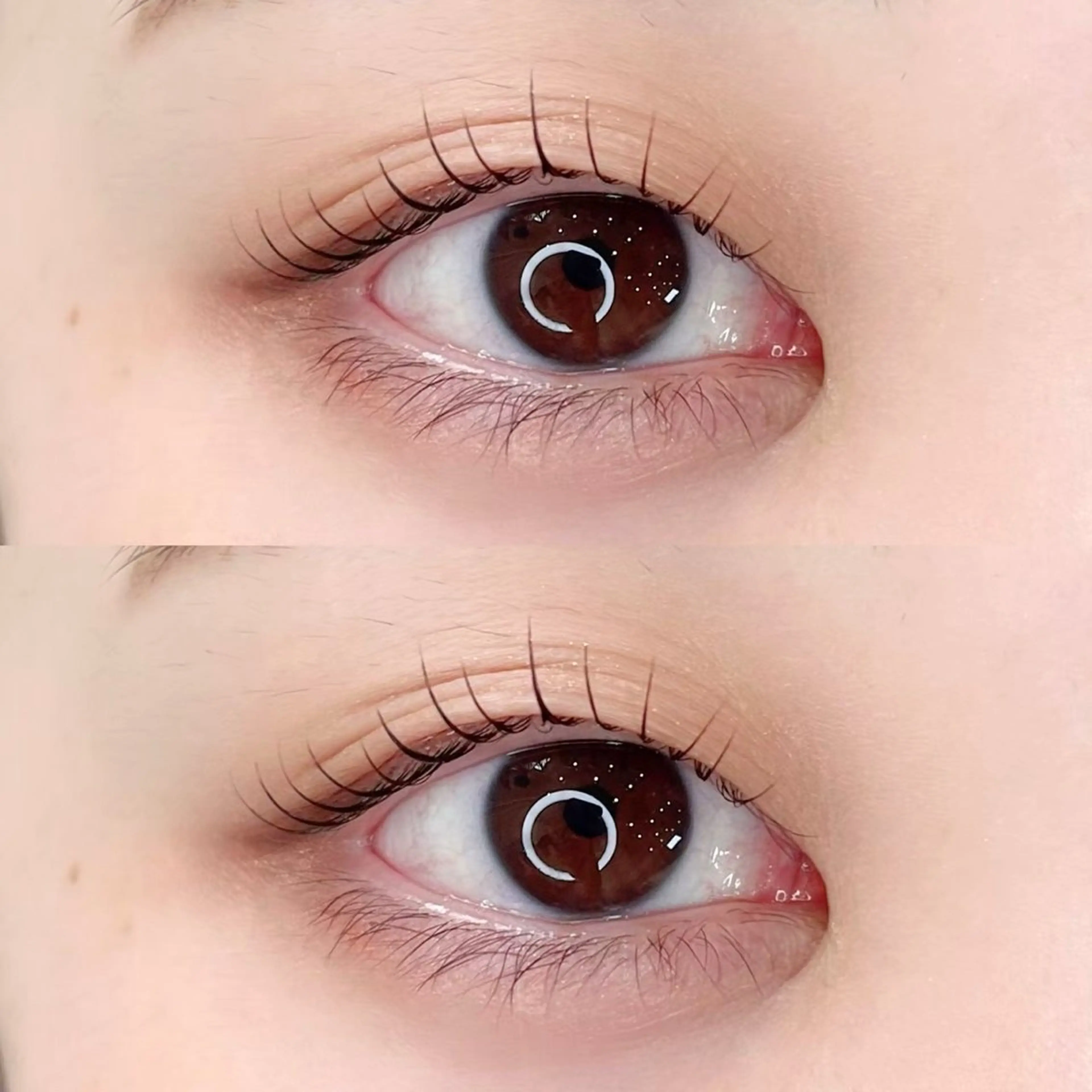 🌸ラッシュリフト上『マスカラパーマ付き』🌸選べるカール🌈🫧の写真