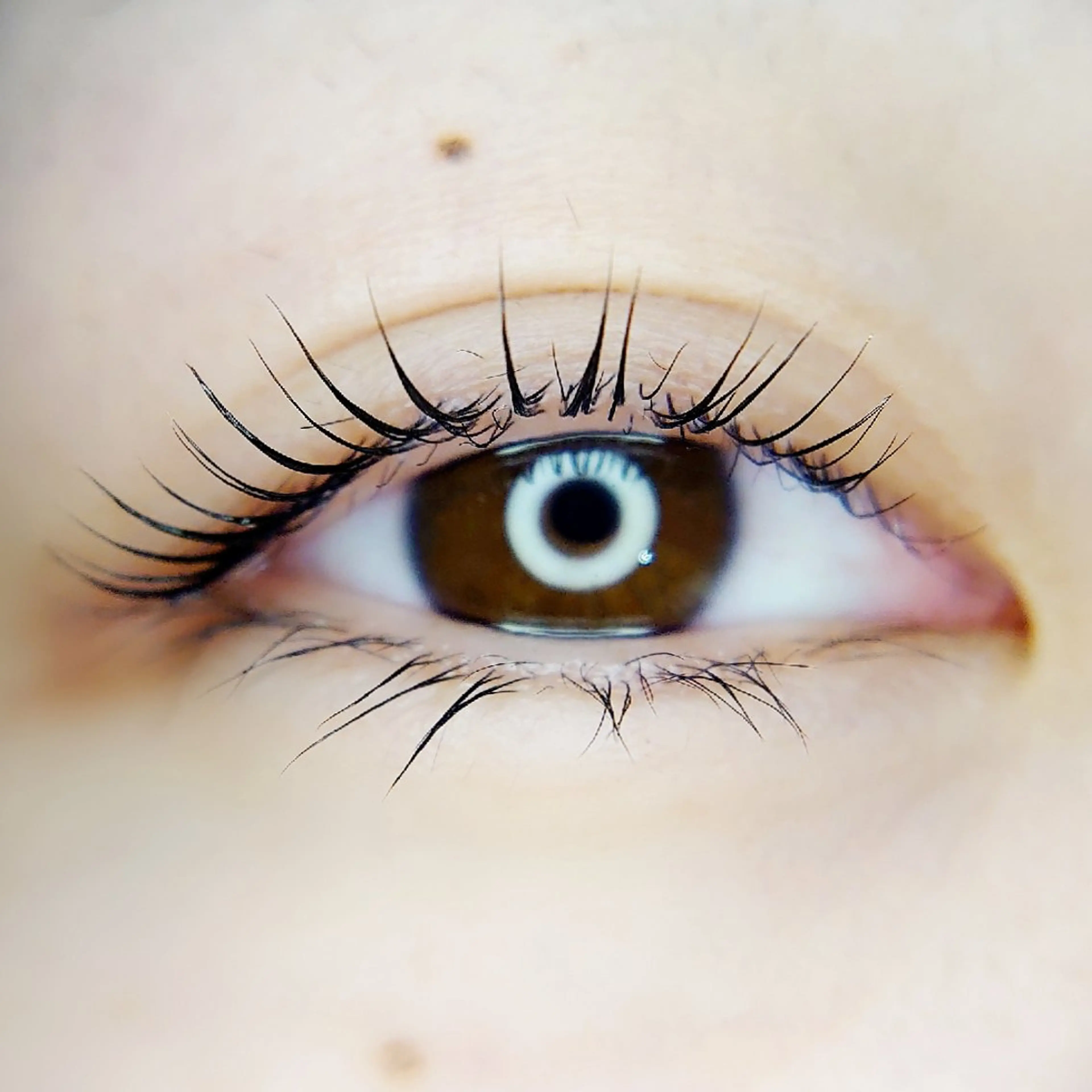 ラッシュリフト、似合わせカールで新たなご自分に♥️の写真