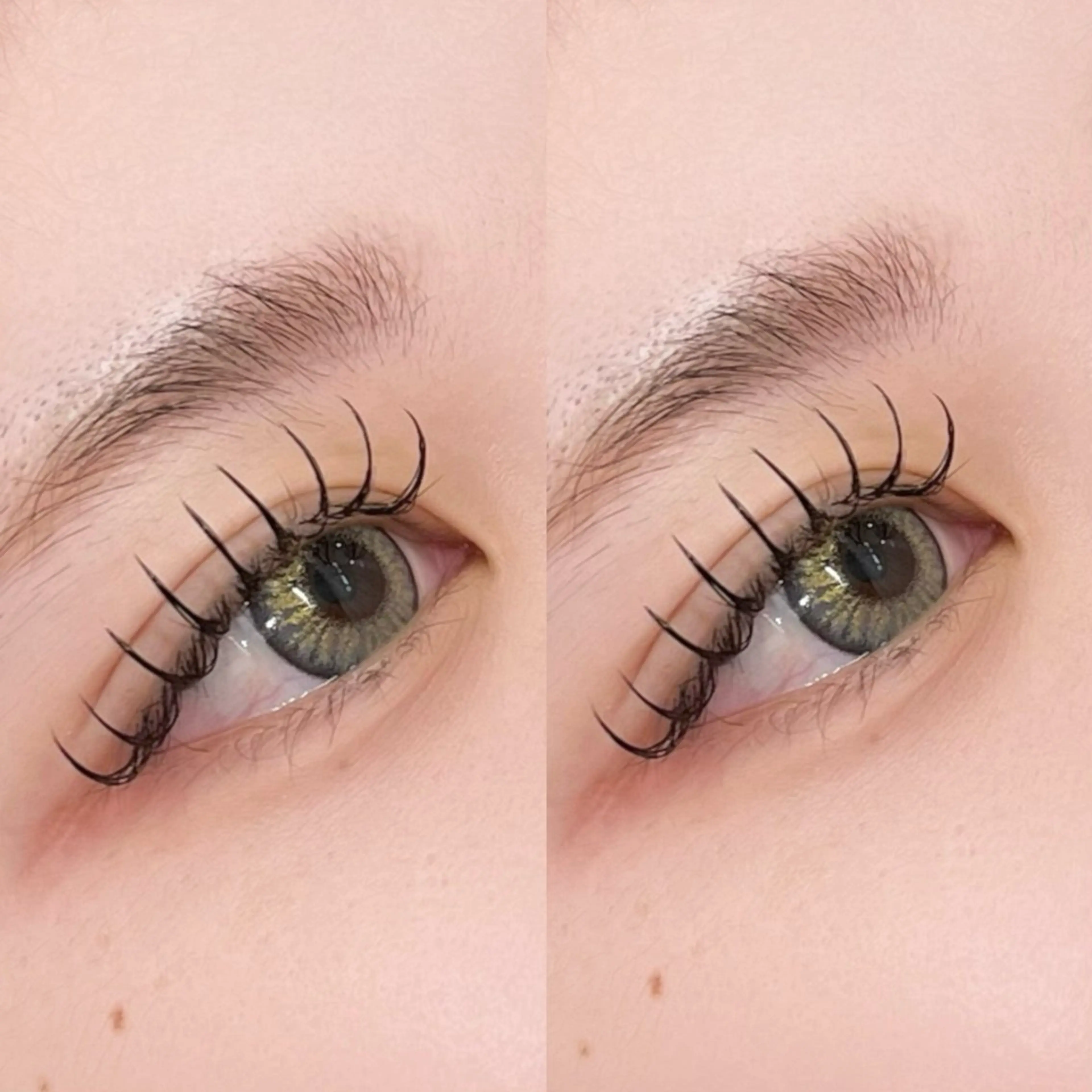 マツエク・マツパ Dカール chouchou. 柏東口🎀🪽コウダのマツエク・マツパデザイン