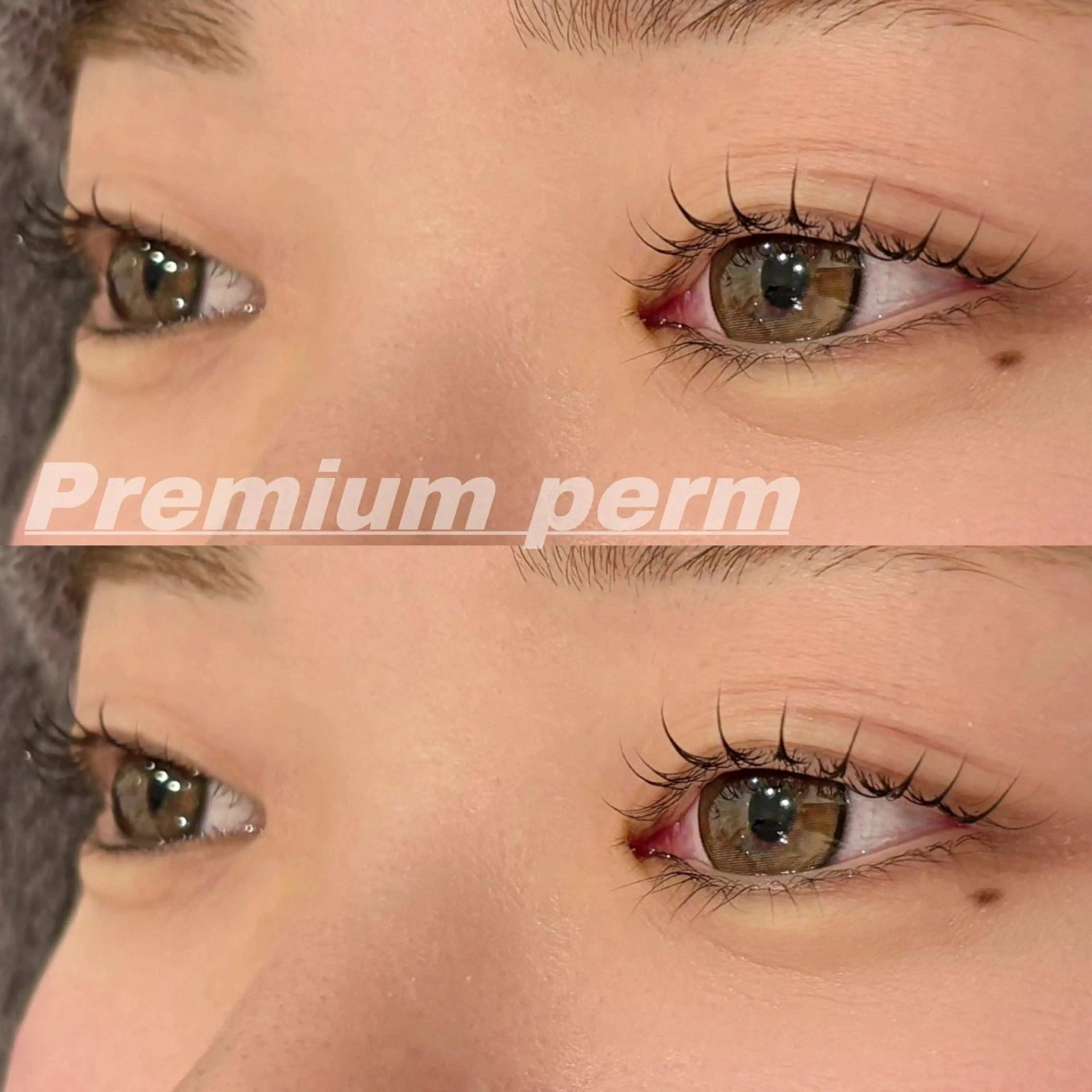 マツエク・マツパ 一重×まつ毛パーマ マツパ Eye ELSA lash栄店の眉毛・アイブロウイメージ