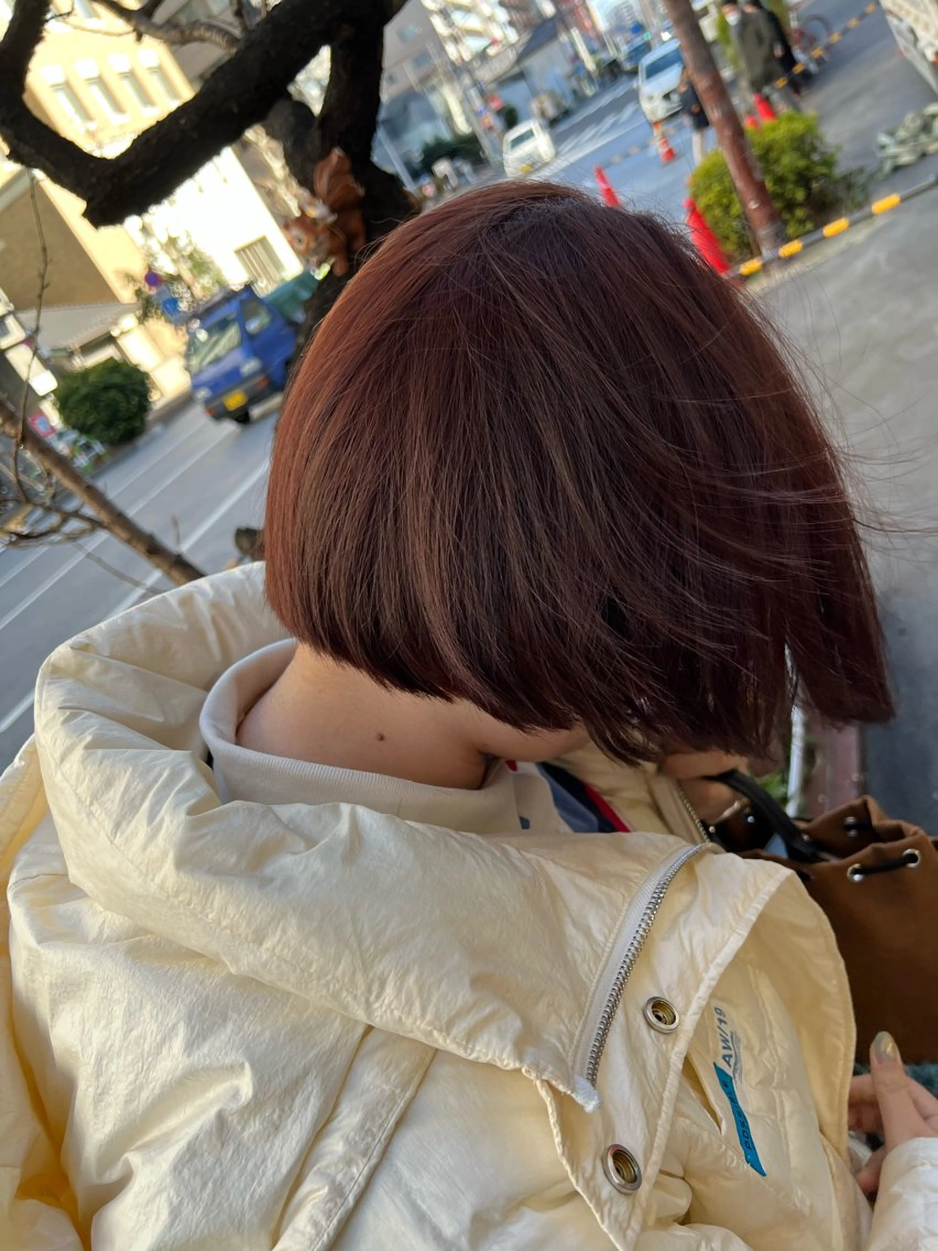 ショート カラー 【髪質改善/縮毛矯正 /カラー】ホサカのヘアスタイル