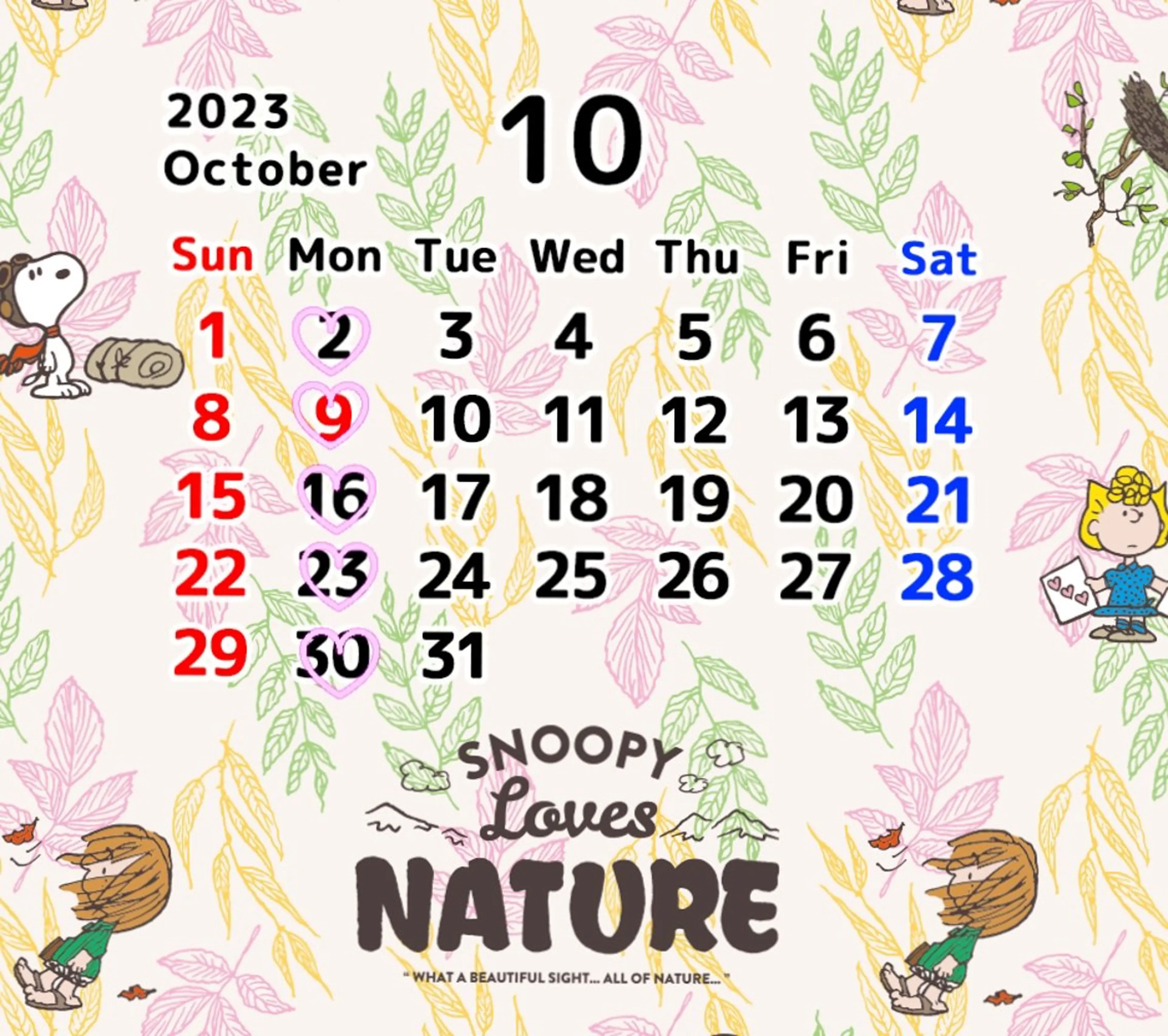 spa hair ark 富井直美のヘアスタイル