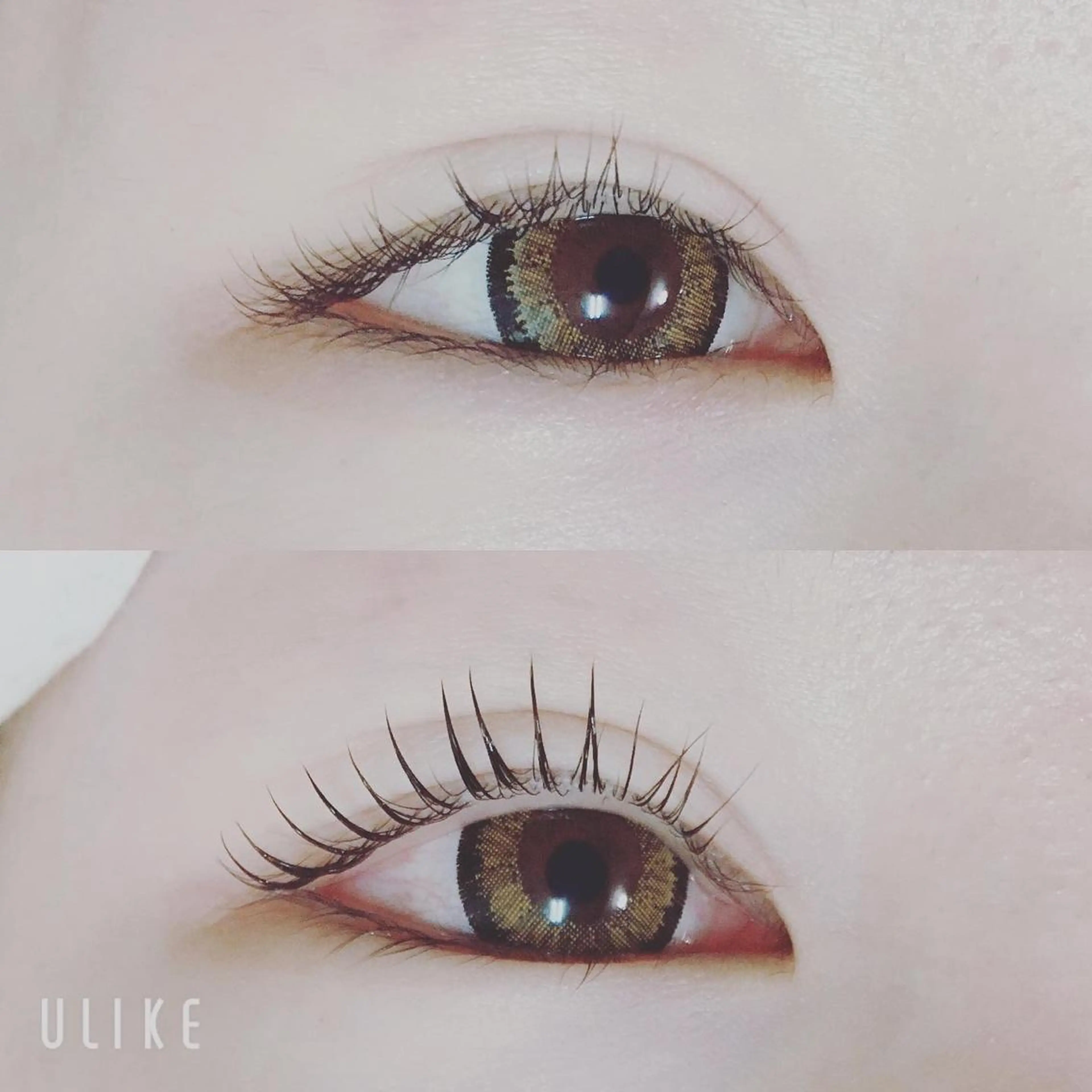 マツエク・マツパ マツパ Lotus. makoのエステ・リラクイメージ