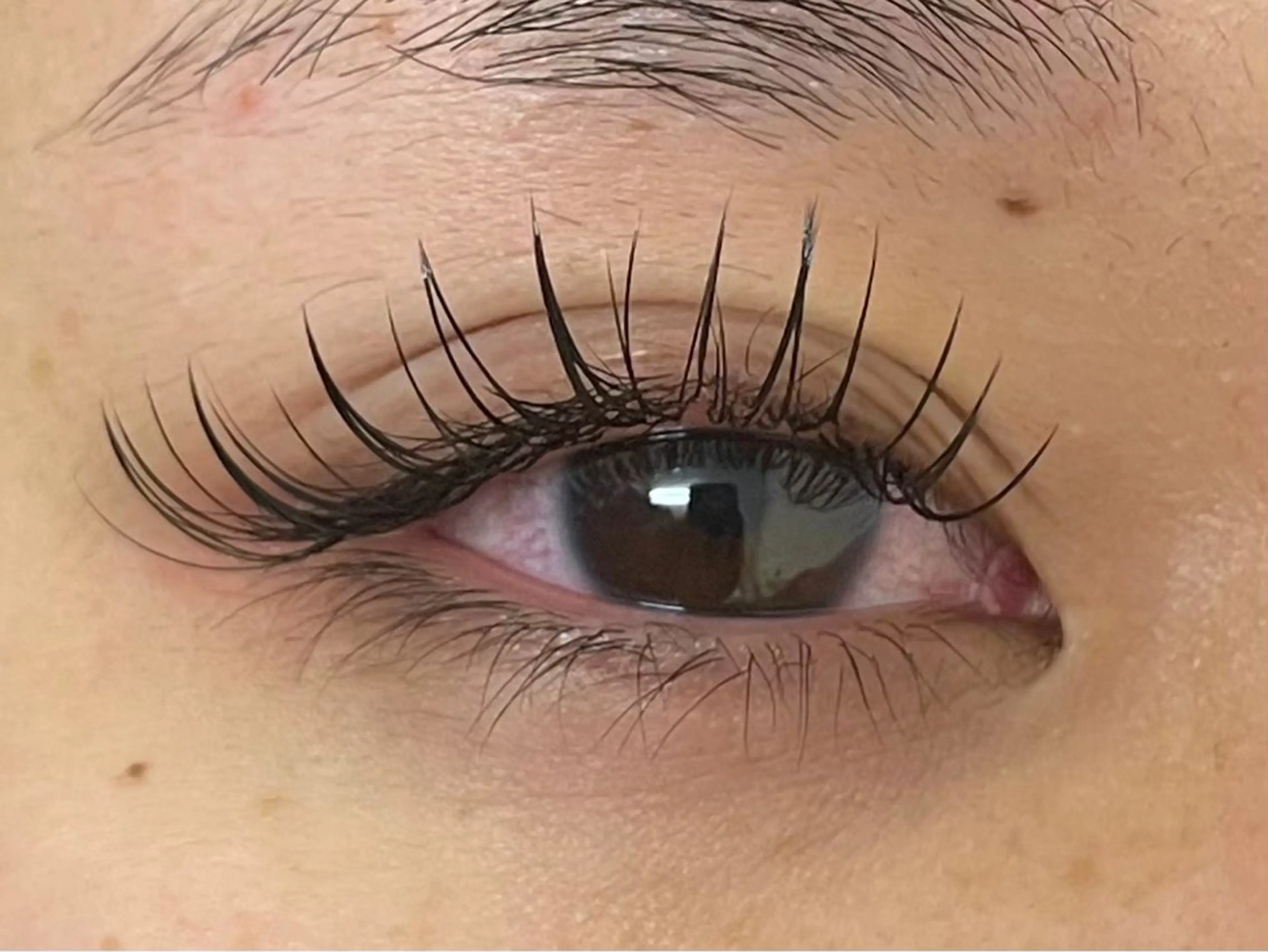 ボリュームラッシュ（LED装着）1時間付け放題⭐️の写真