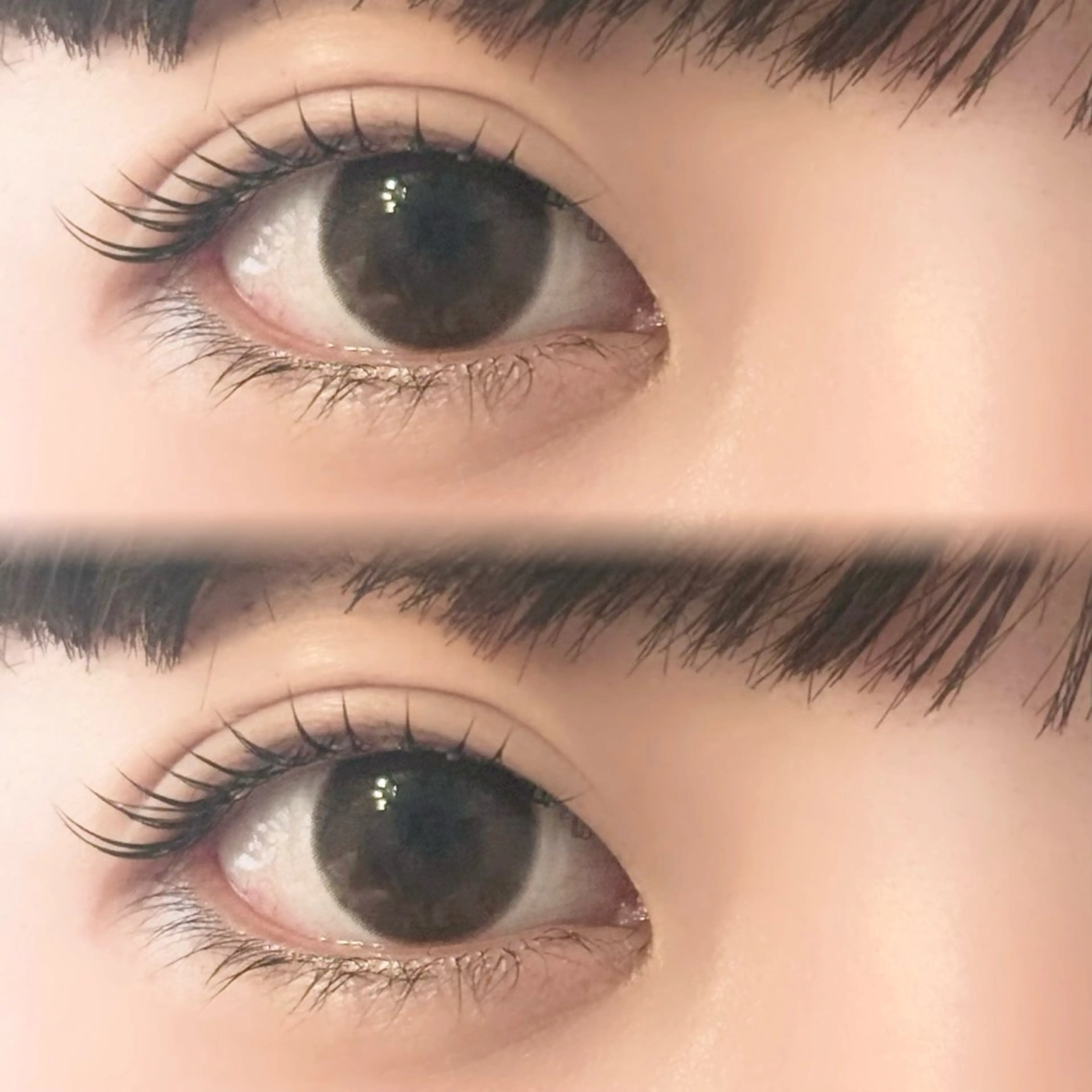 マツエク・マツパ マツパ 由寿| まつパモデル募集中✨のマツエク・マツパデザイン