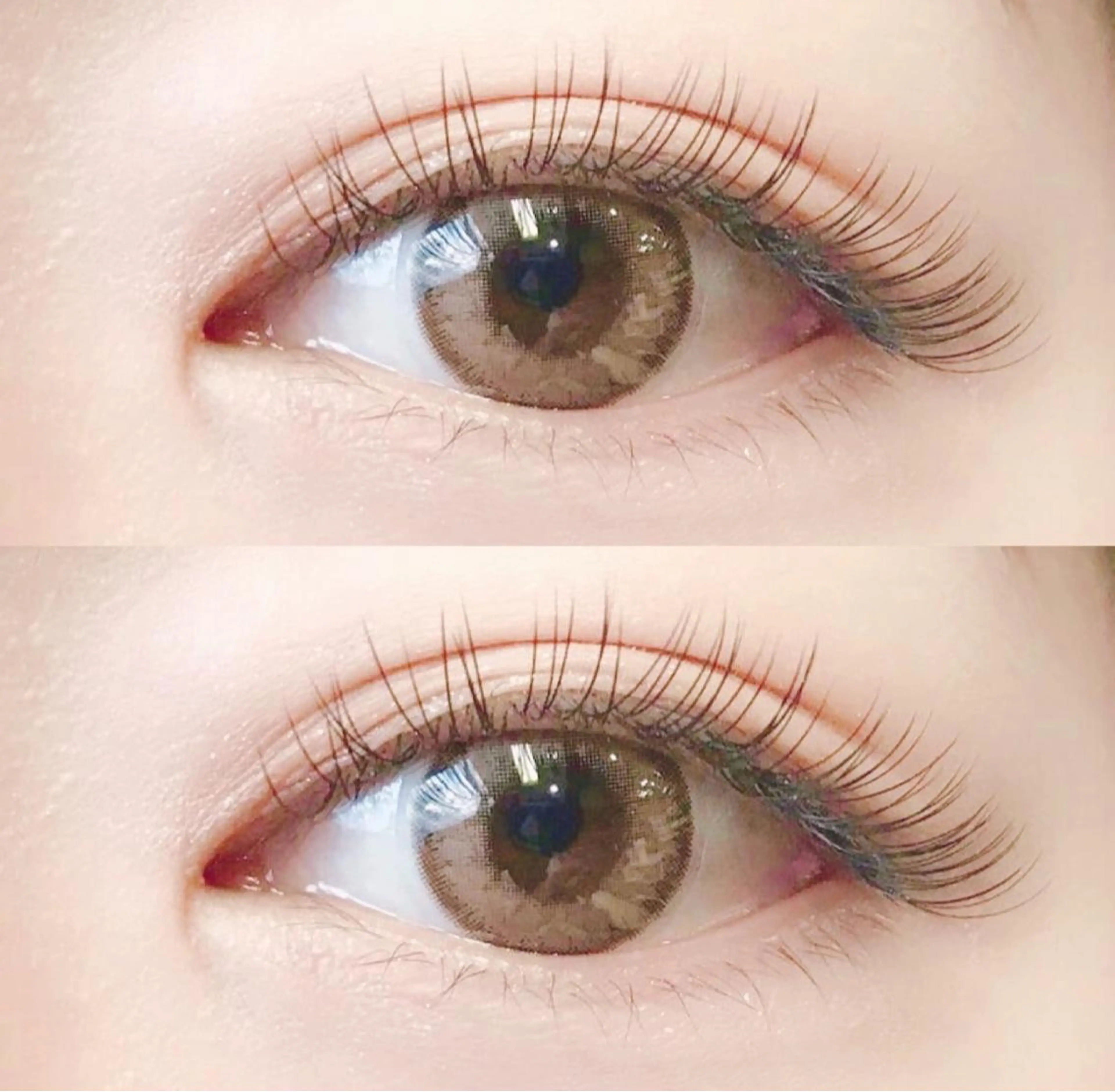 【4月限定】オフ込抗菌セーブル130✨ 5,000円税込（フラット変更は＋500円可能）の写真