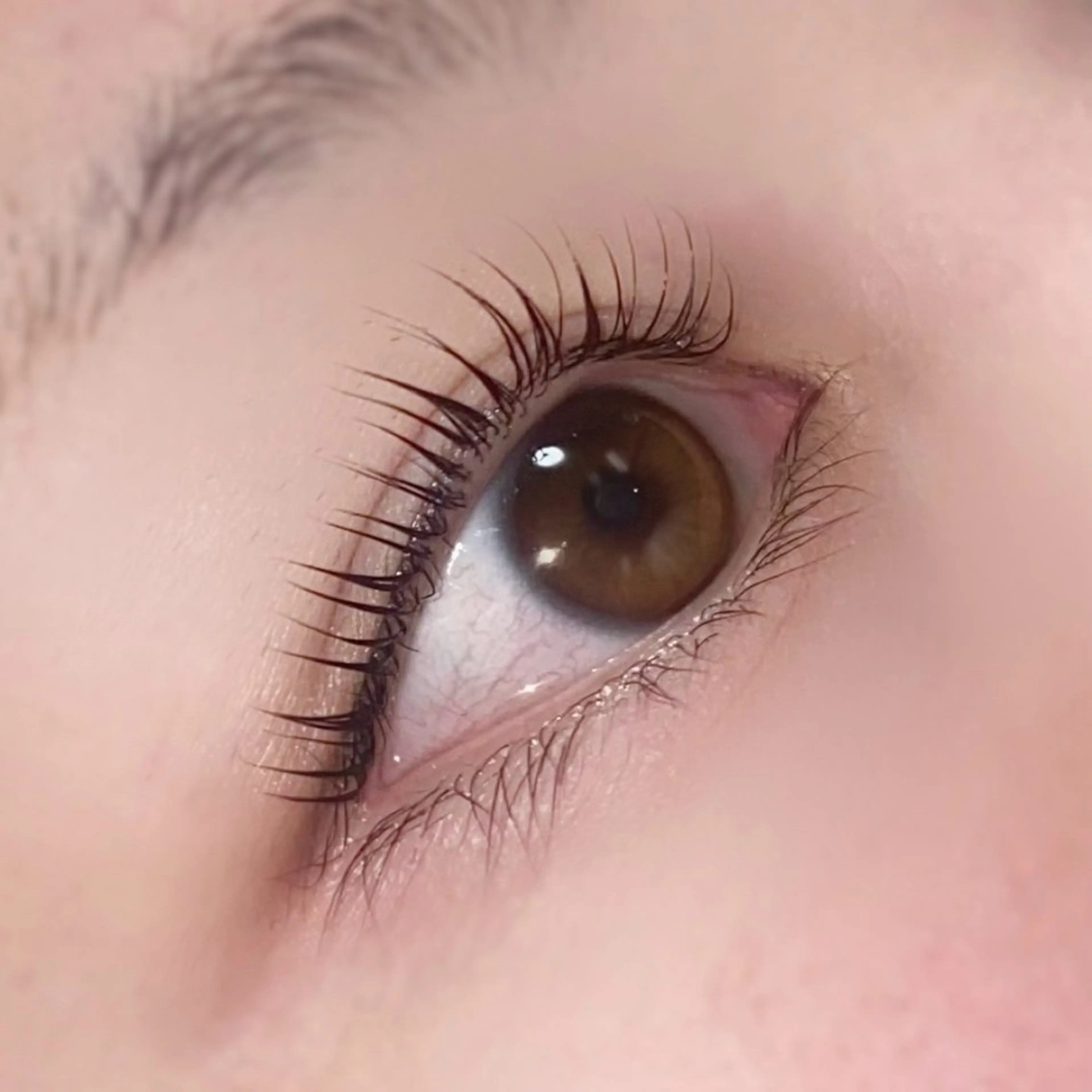 マツエク・マツパ 【宇城市】Aimee eyelashのマツエク・マツパデザイン