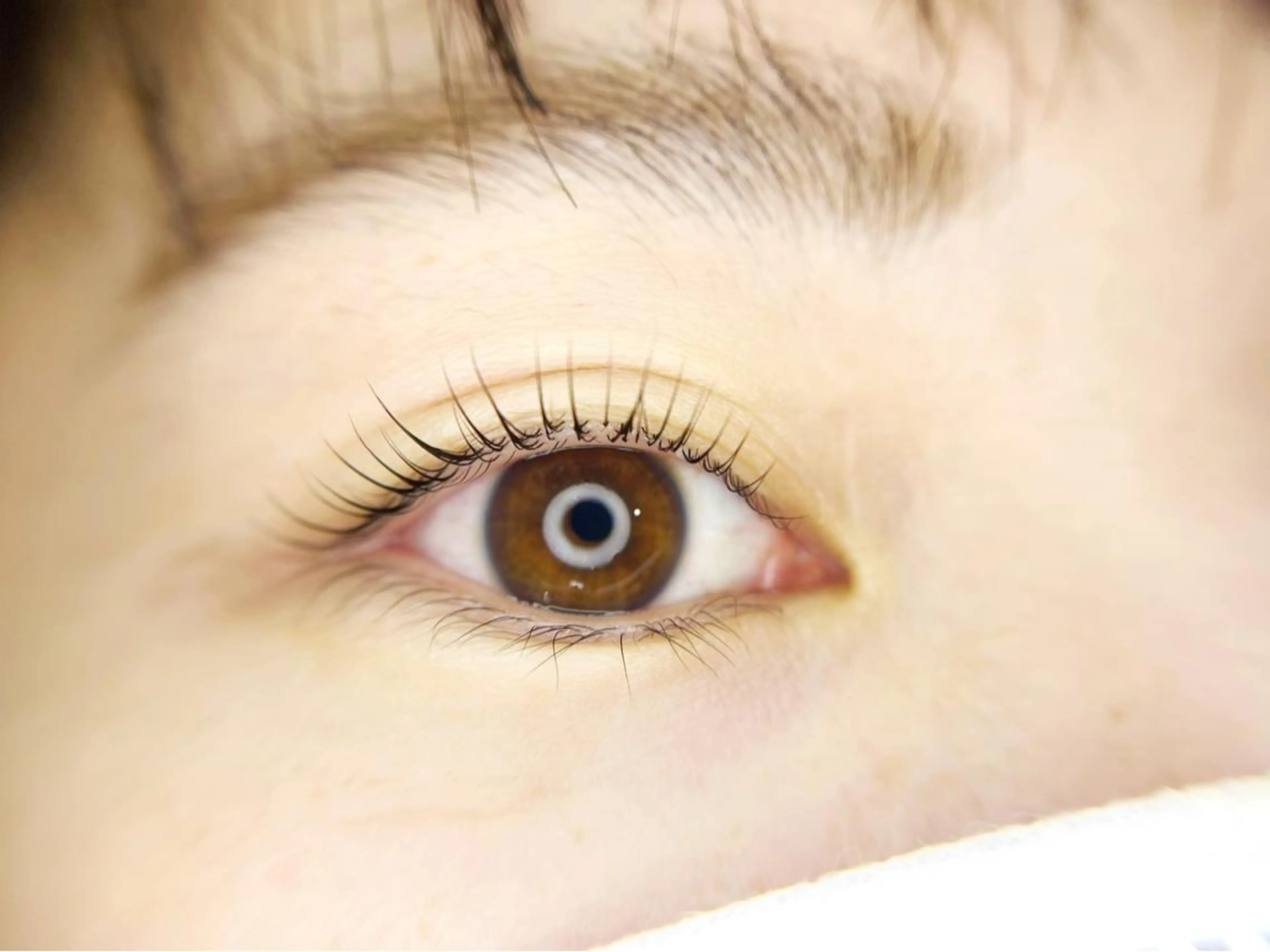 マツエク・マツパ ecru. eyelashのマツエク・マツパデザイン