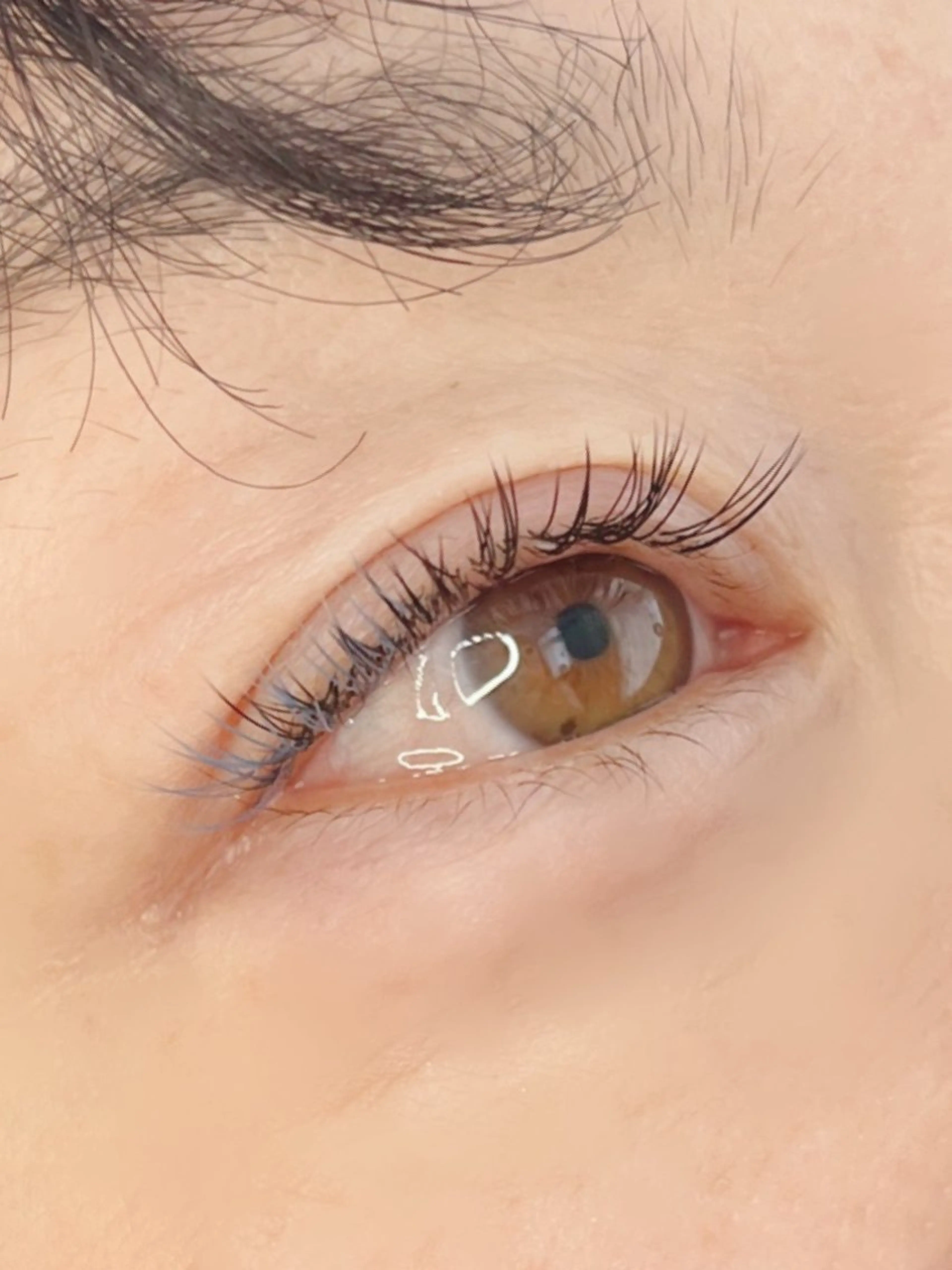 マツエク・マツパ 《eyelash ｉｉｔｅ》森のマツエク・マツパデザイン