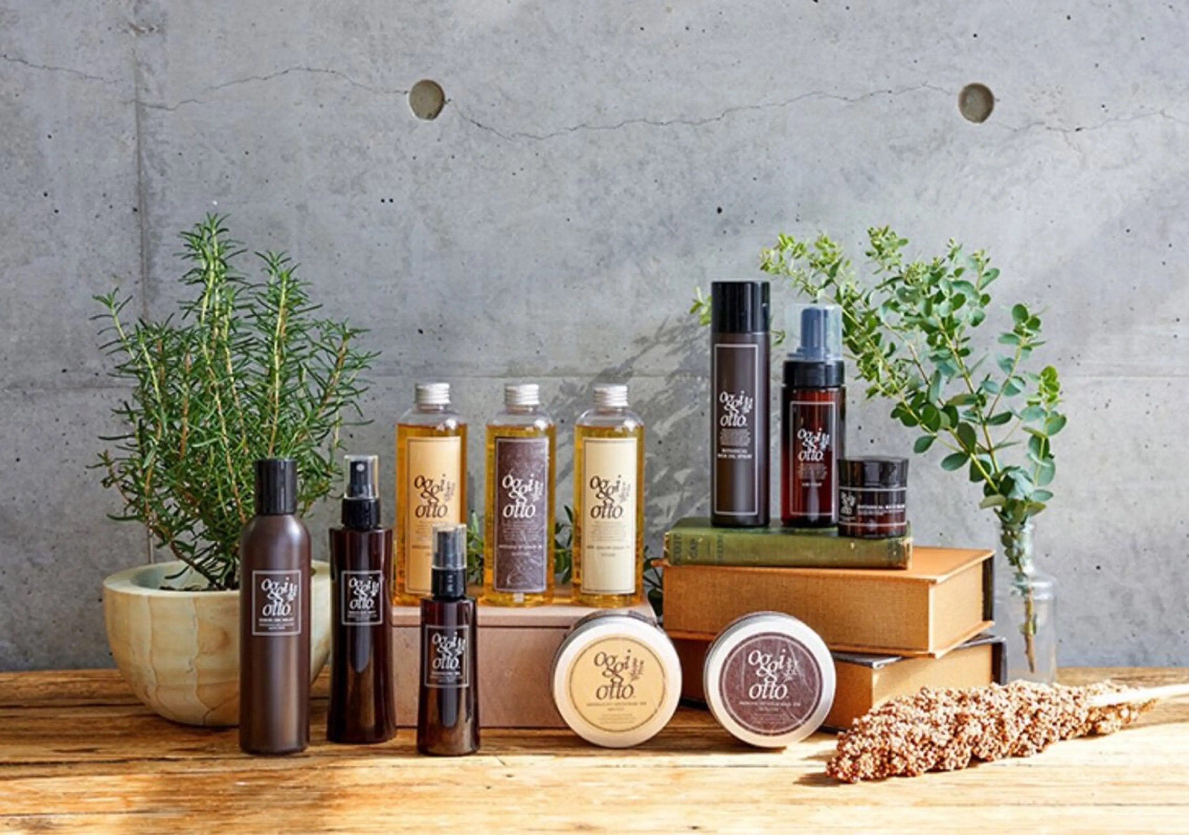 🍀*spa course‎🛁*カット＋艶カラー＋ヘッドスパ＋oggiottoケアTr＋marbb𓂃 𓈒𓏸◌‬の写真