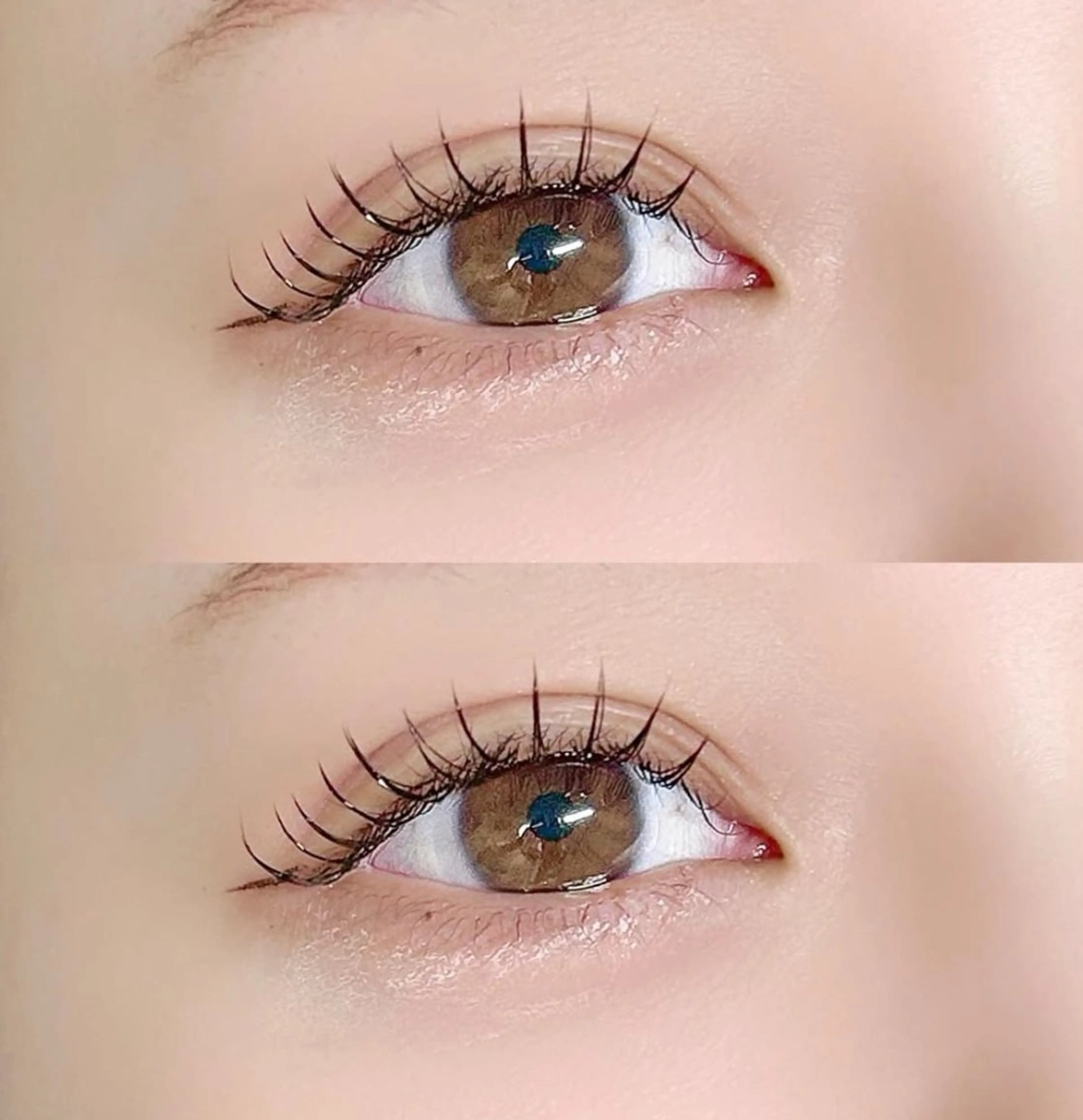 【オフなし】フラットマットラッシュ /カウンセリング込み/お時間内付け放題✨/シングルラッシュよりも持続力🆙の写真