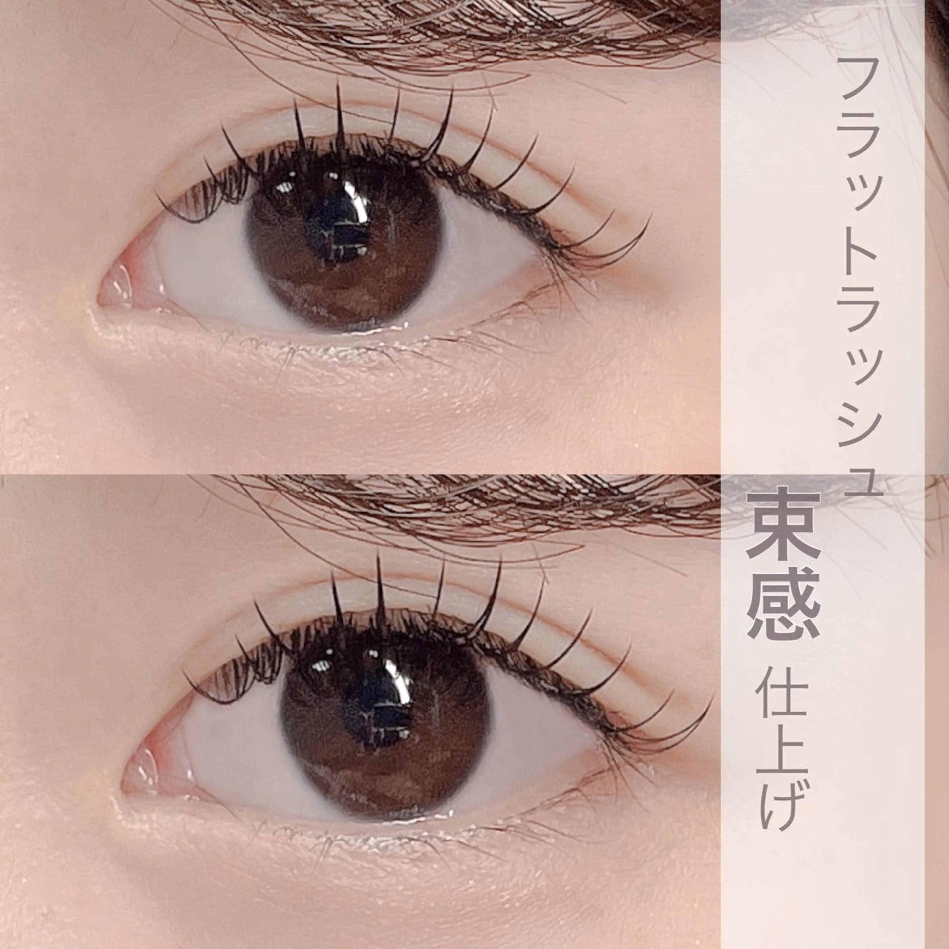 マツエク・マツパ 束感まつ毛 フラットラッシュ 韓国風マツエク Aimey 🌷marinaのマツエク・マツパデザイン