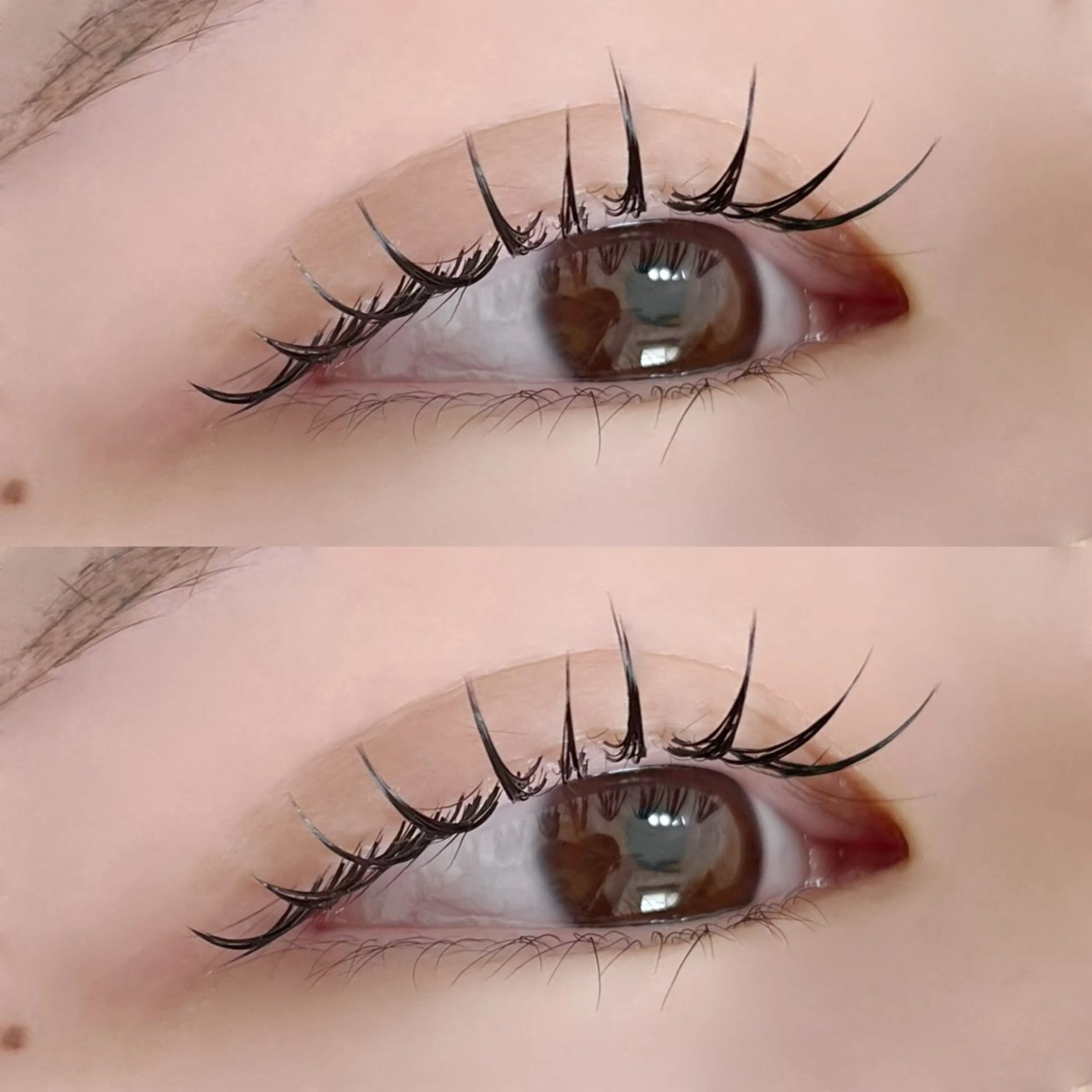 セーブル100本の写真