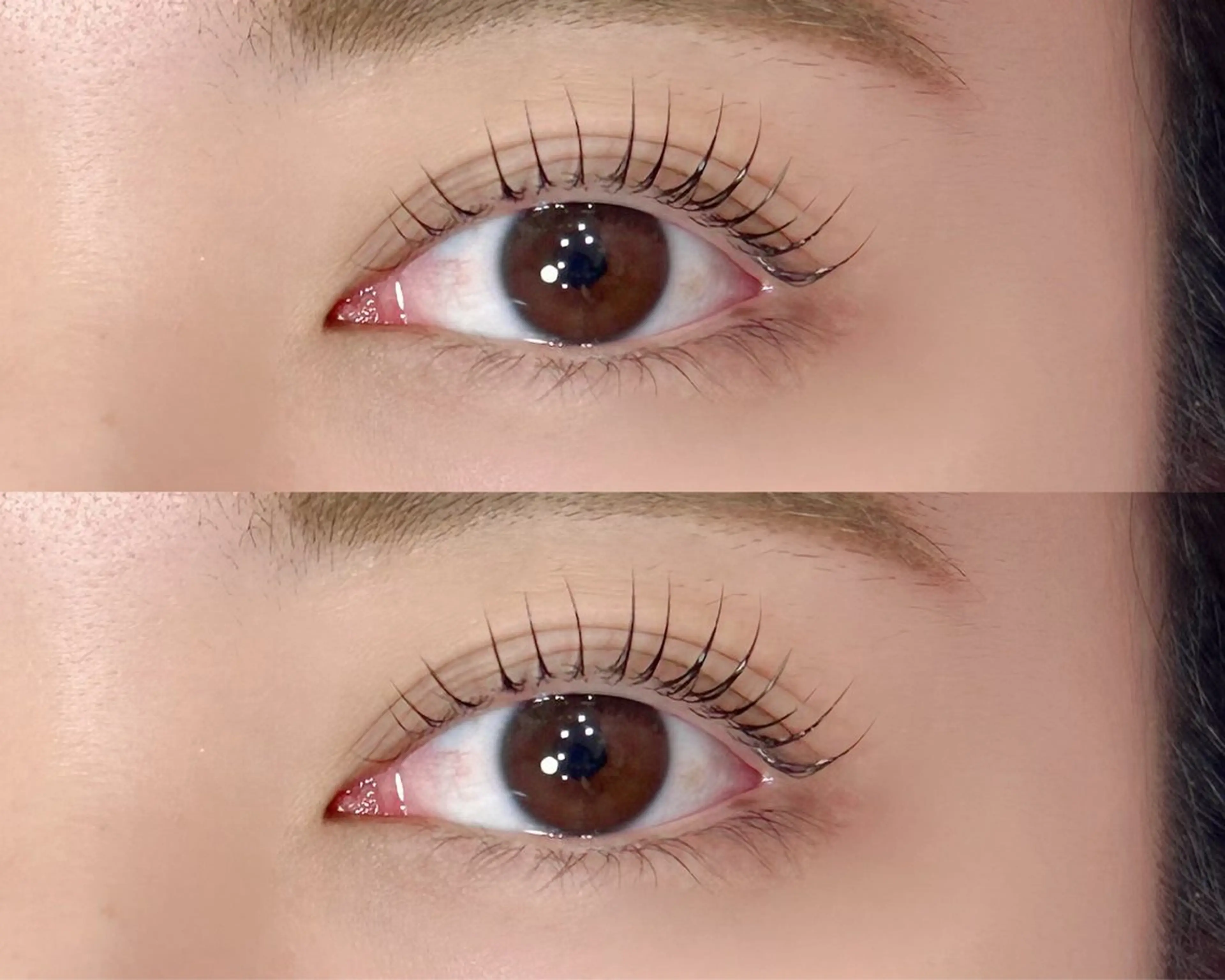 【ケラチンラッシュリフト🤎お仕上げコーティング付き】　 《再来の方＋¥500》の写真