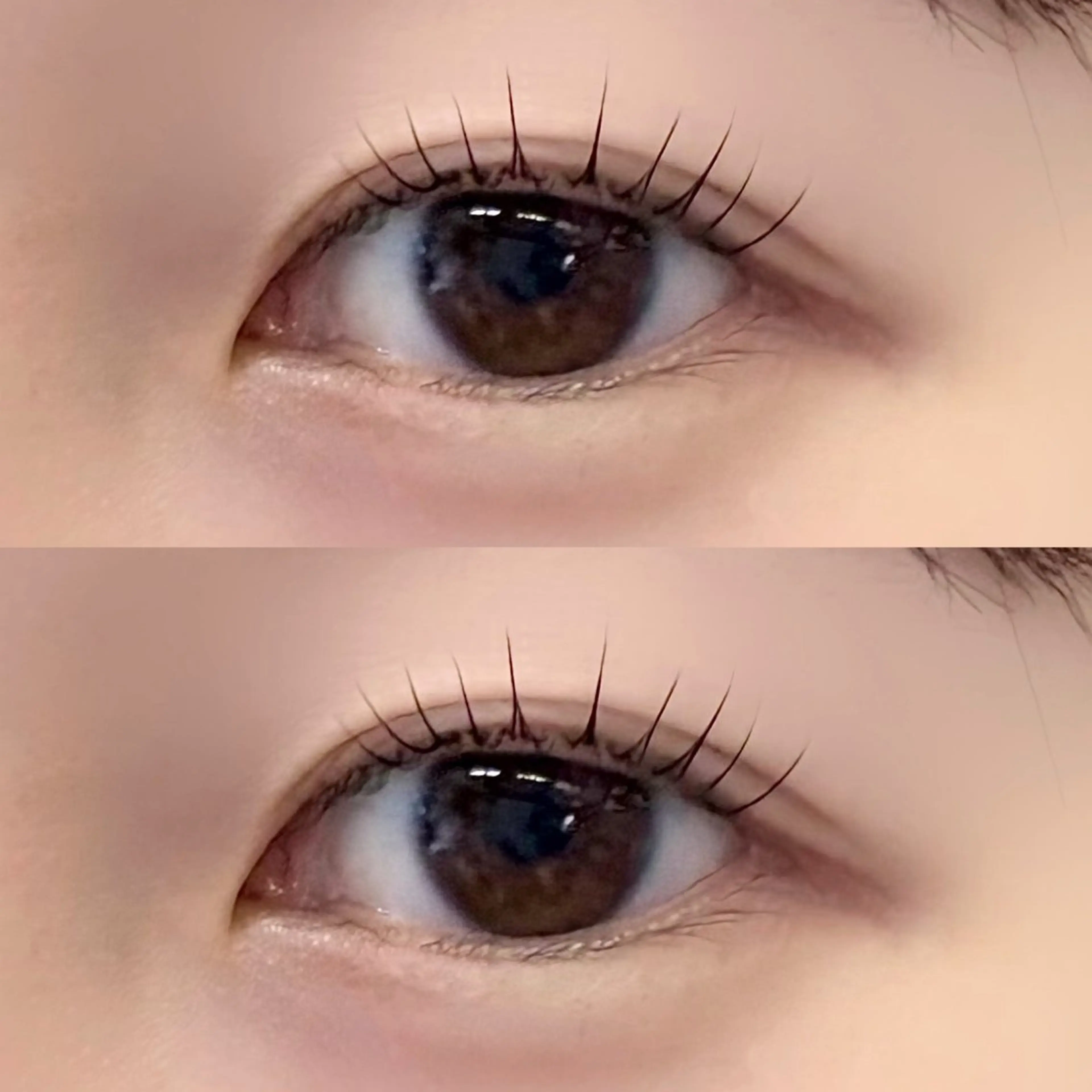 【再来】ラッシュリフトorパリジェンヌ✨ケア付きの写真