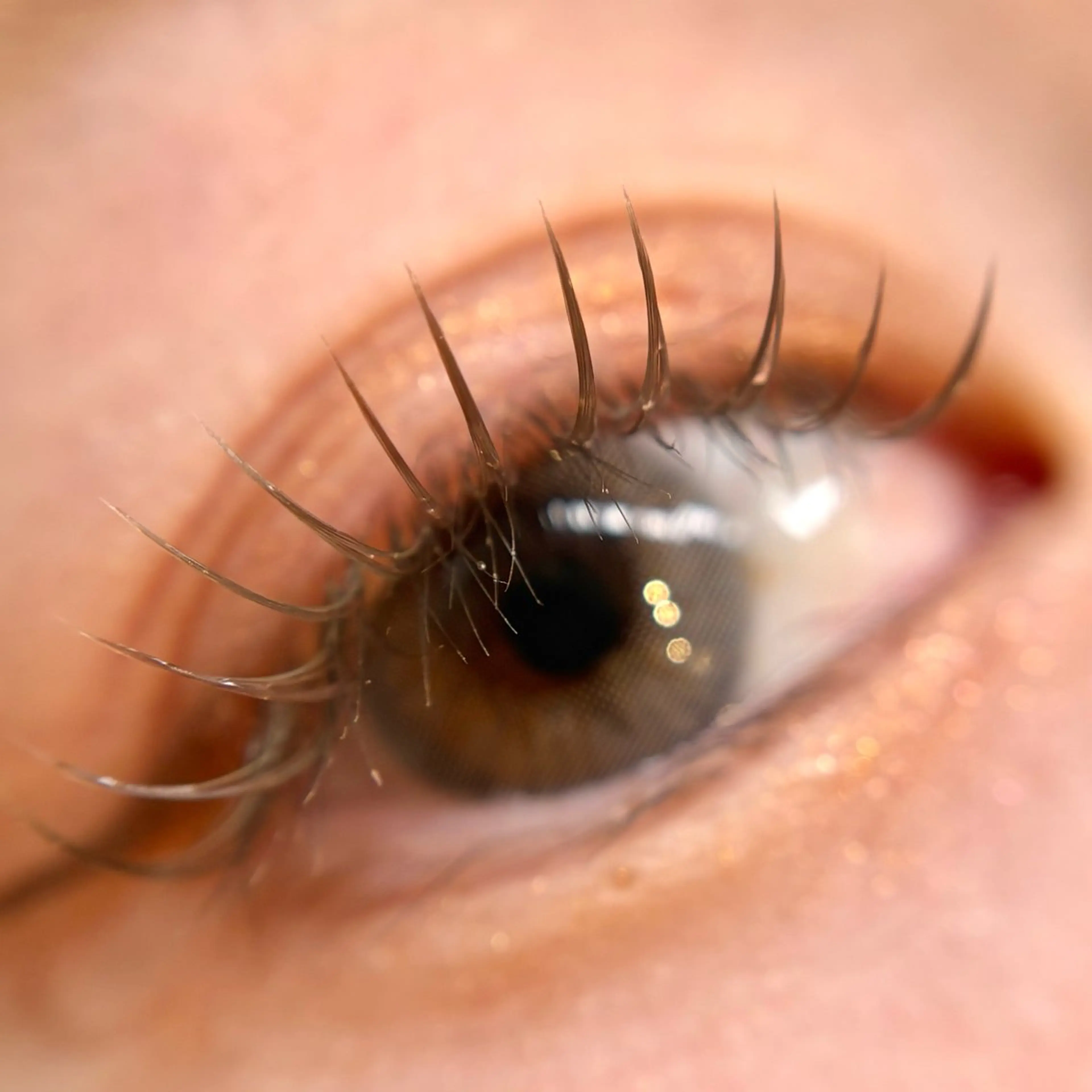 マツエク・マツパ カラーマツエク フラットラッシュ マツエク MAKOTO🌹 Amaranth金山のマツエク・マツパデザイン