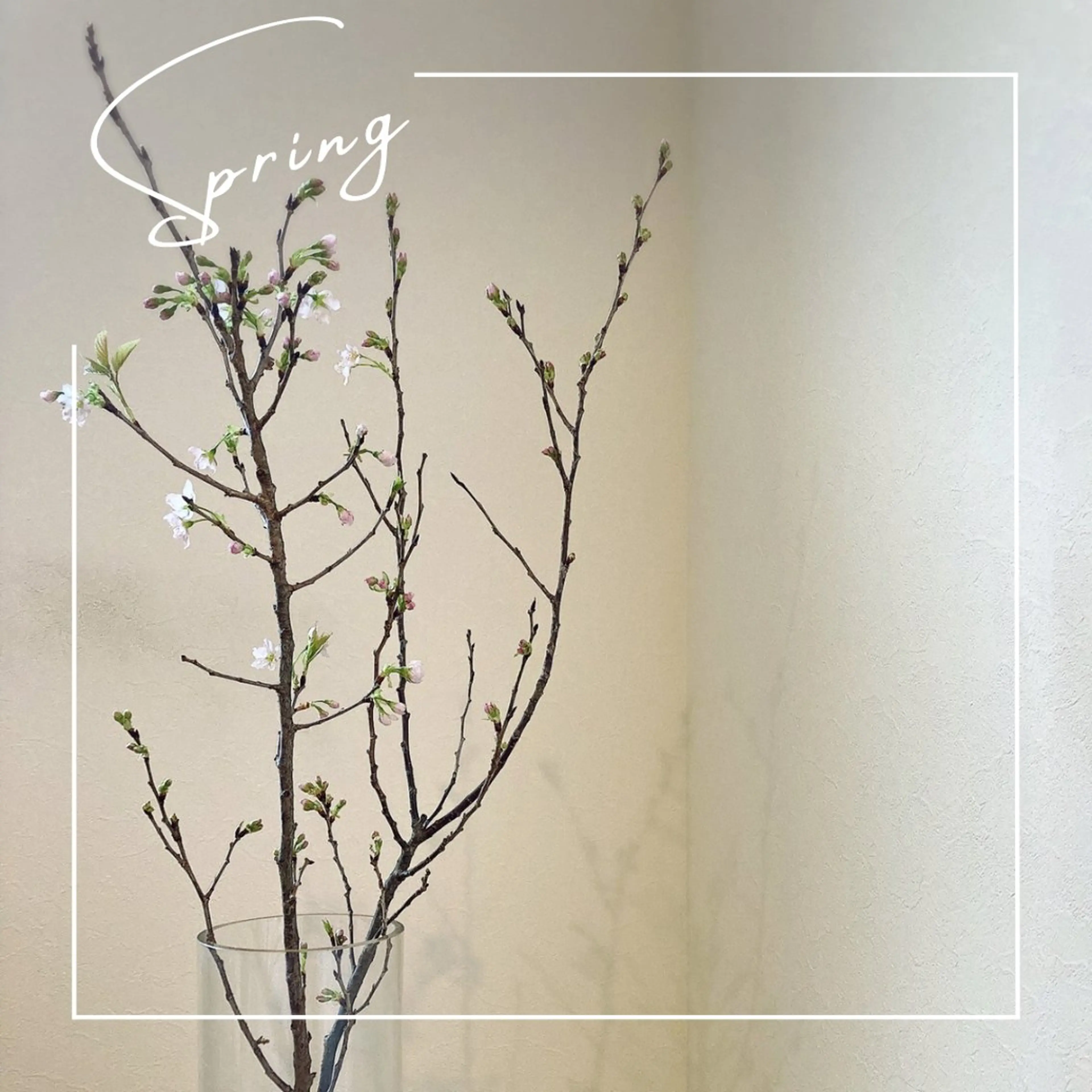 エステ リラク 小顔×肌質改善サロン soin〔ソワン〕のエステ・リラクイメージ