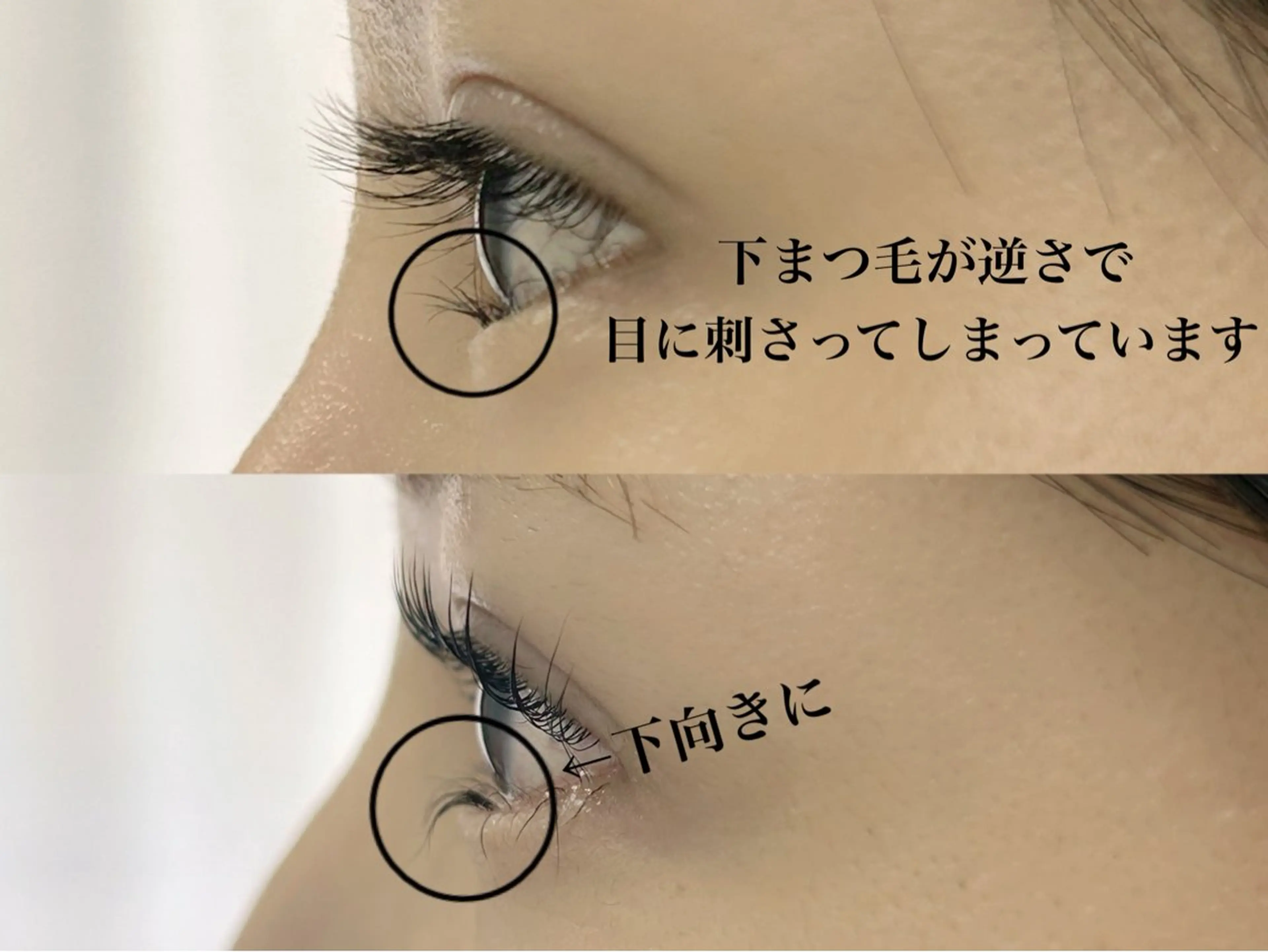 マツエク・マツパ Sein 千代田線 根津駅1分のマツエク・マツパデザイン