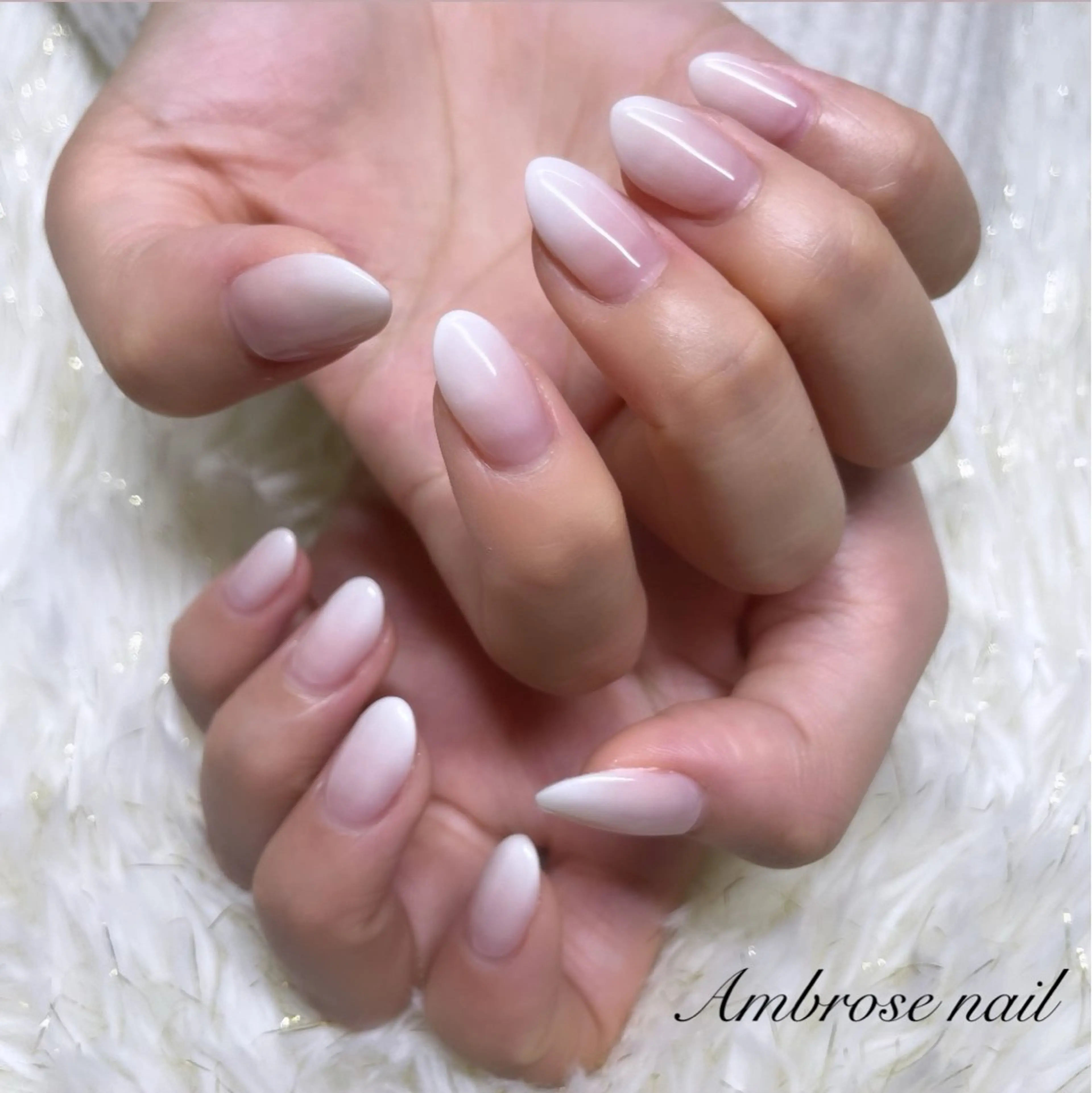 グラデーションの写真