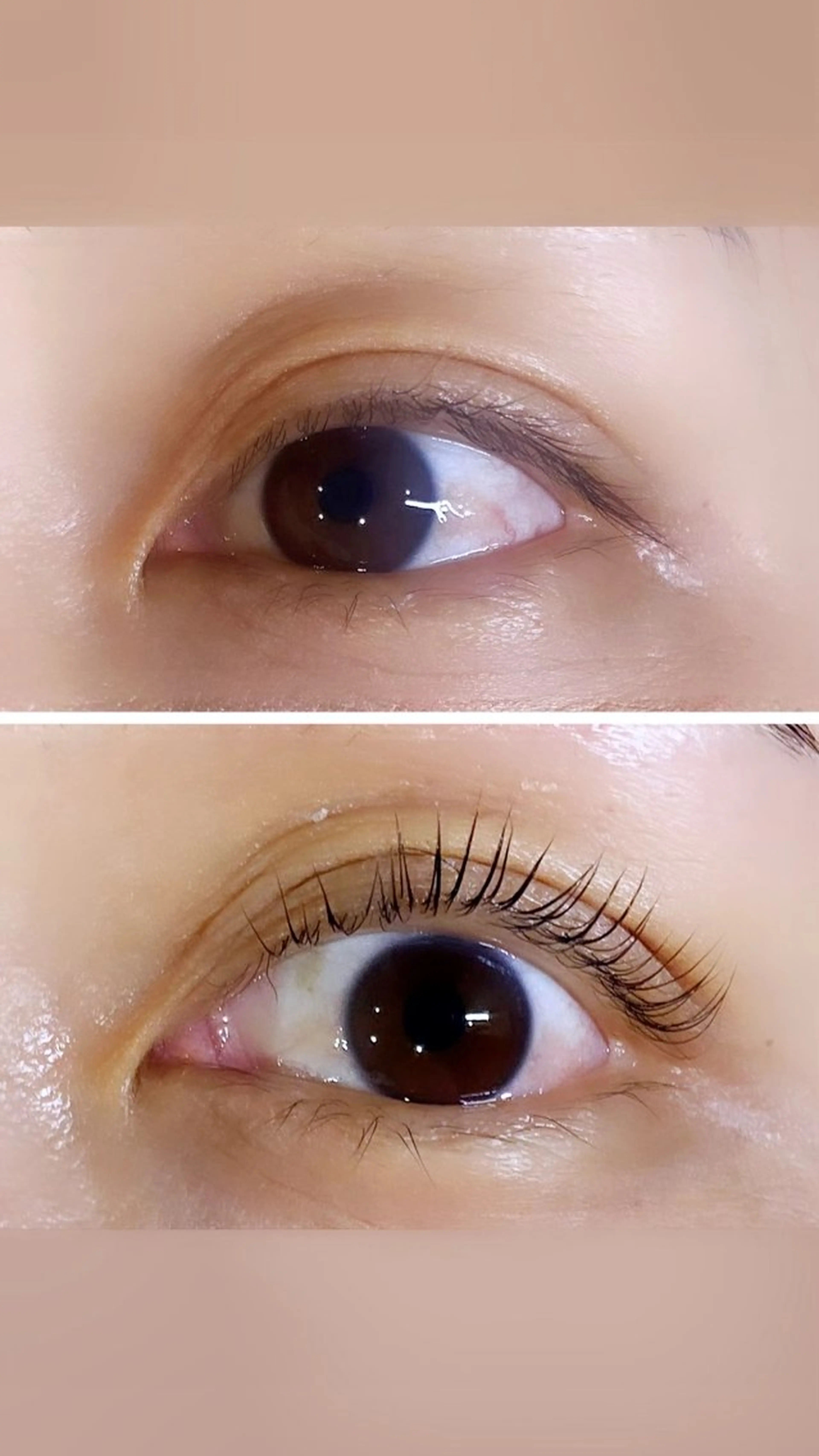 マツエク・マツパ アクワレル加古川店 中野のマツエク・マツパデザイン