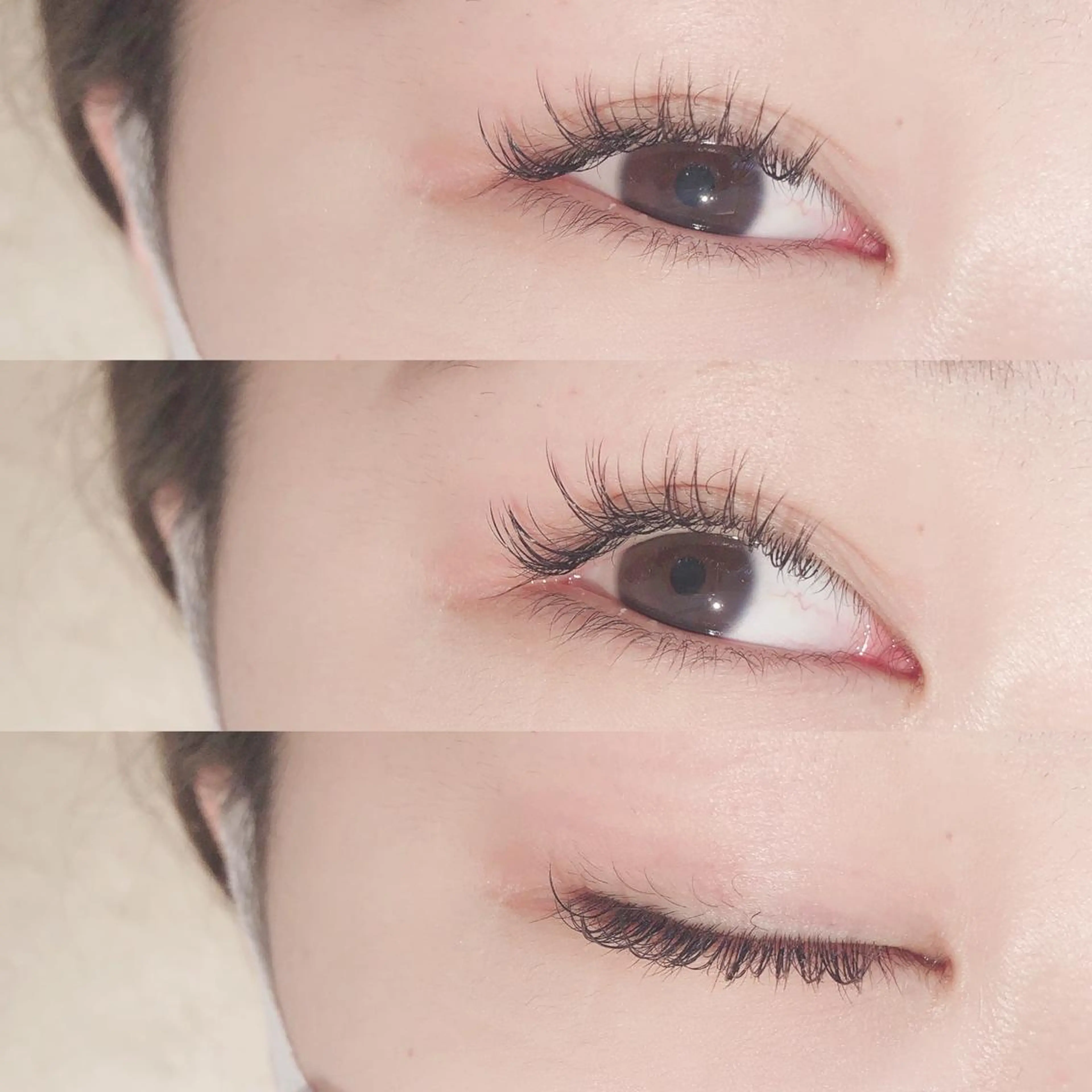 マツエク・マツパ Dカール マツエク Neo店長🌿 KOTONO🌿のマツエク・マツパデザイン