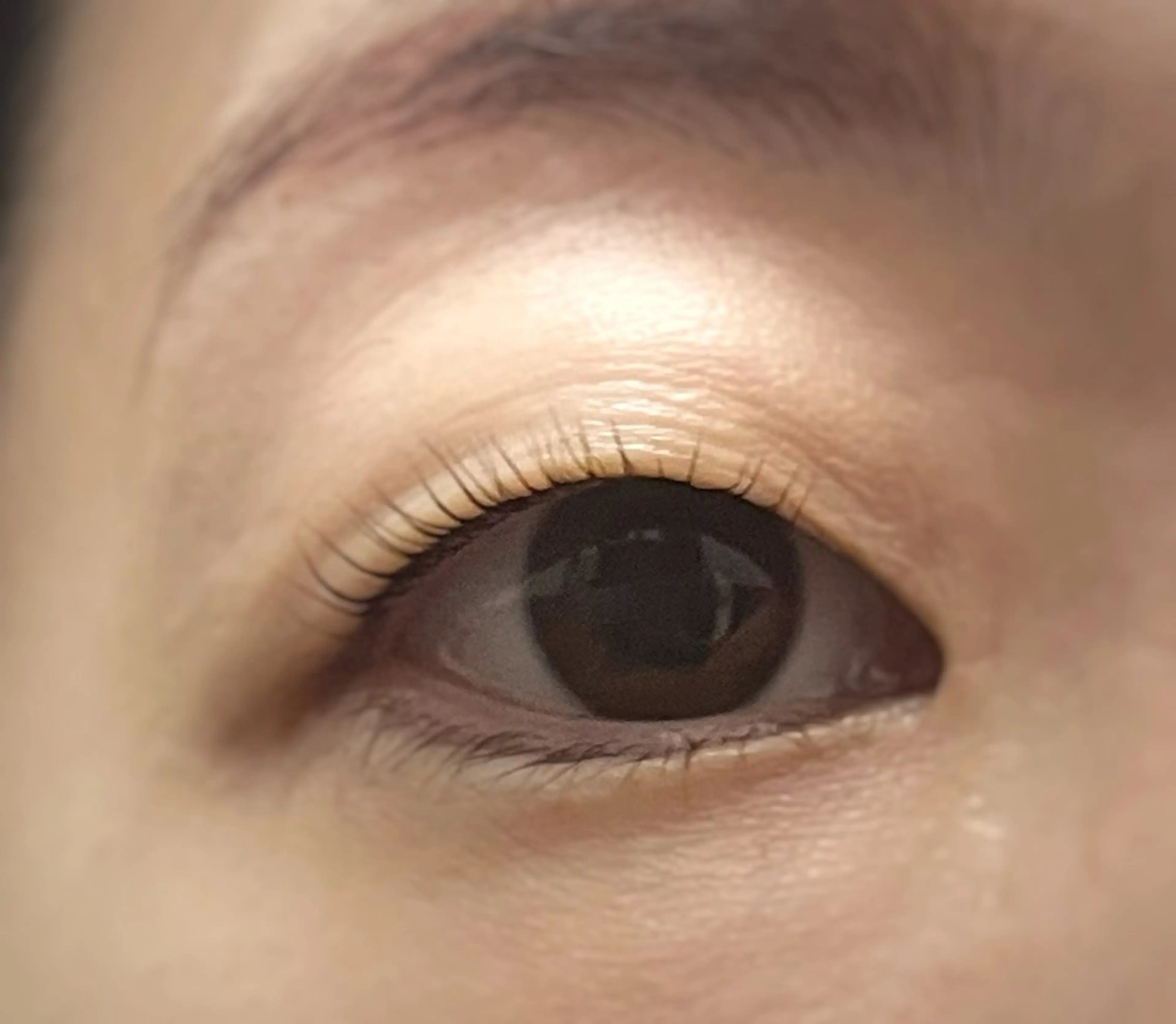 マツエク・マツパ マツパ Pilina 長岡のマツエク・マツパデザイン