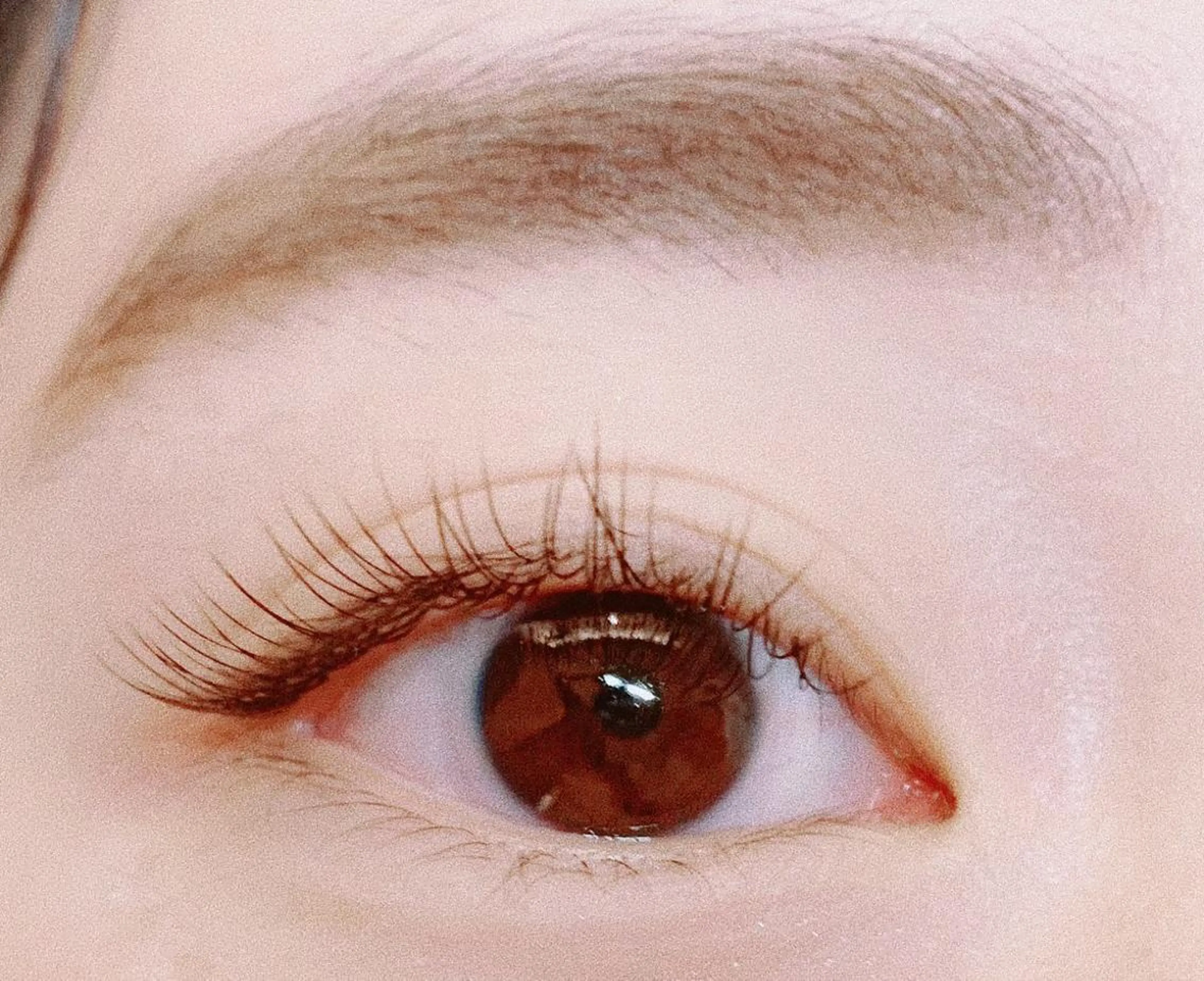 マツエク・マツパ フラットラッシュ ナチュラル 【ぱっちり職人】 店長 矢吹のマツエク・マツパデザイン