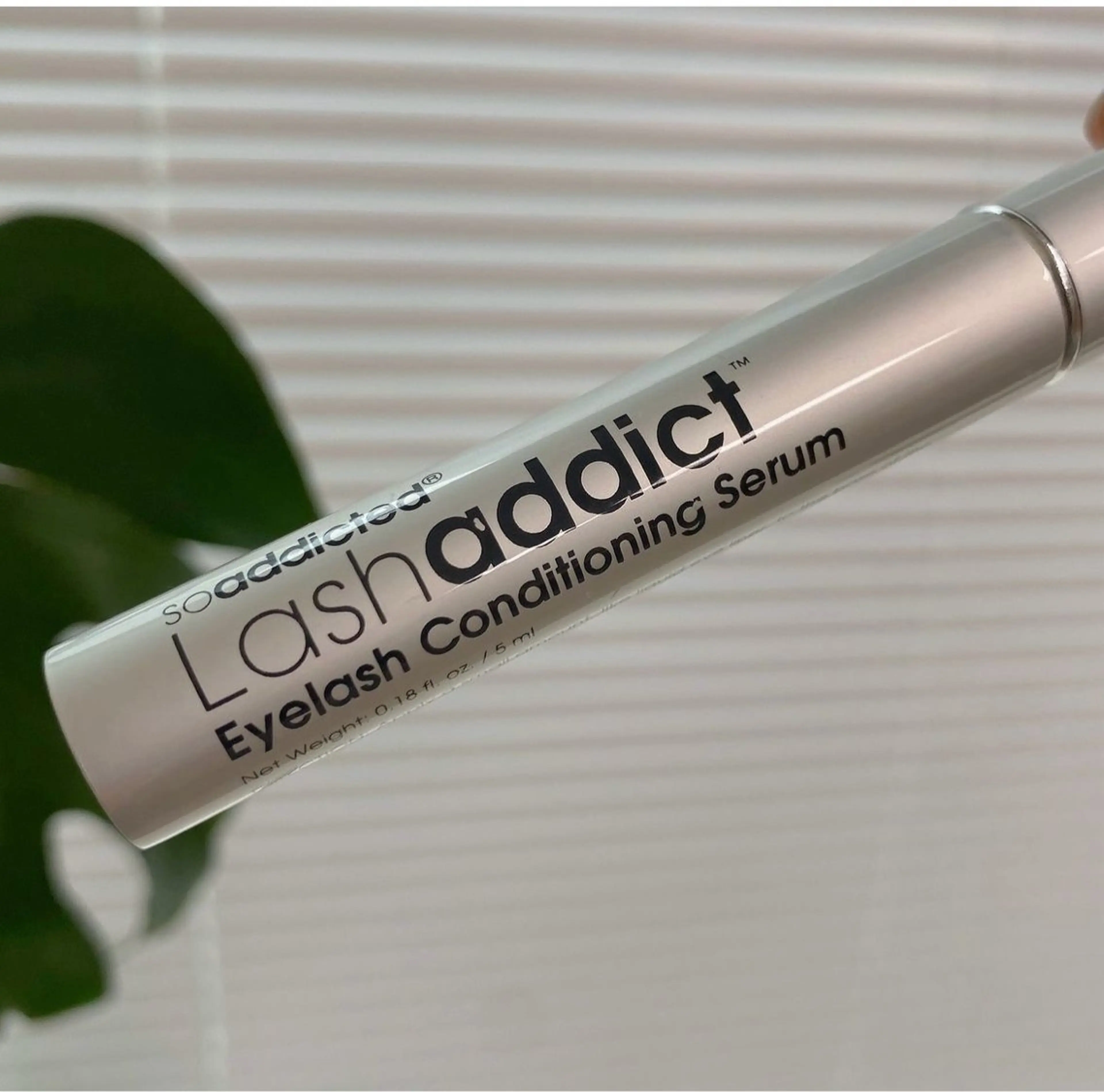 マツエク・マツパ REBOND K モデル募集のマツエク・マツパデザイン