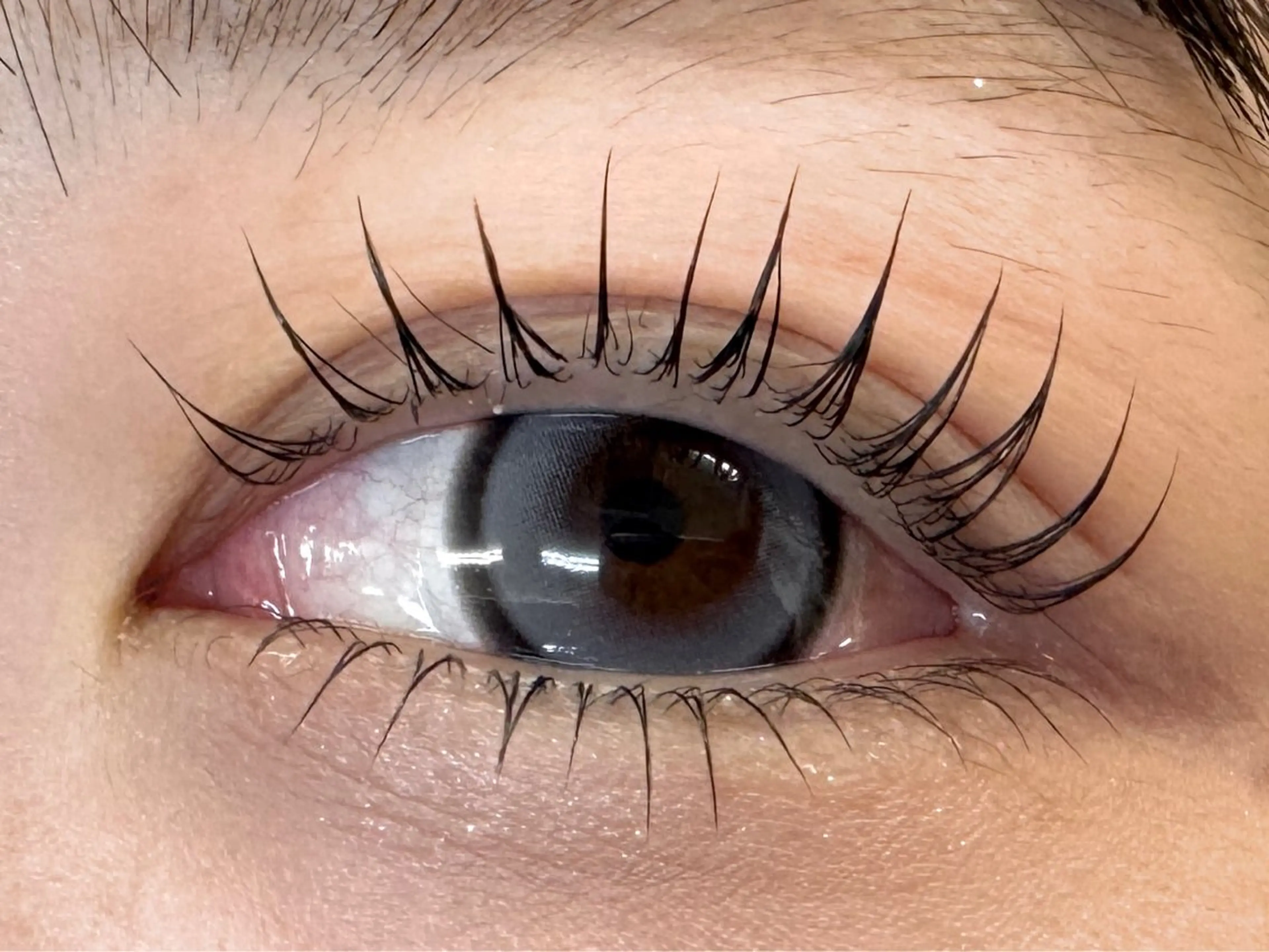 上下まつ毛パーマ🎀 ラッシュリフトの写真