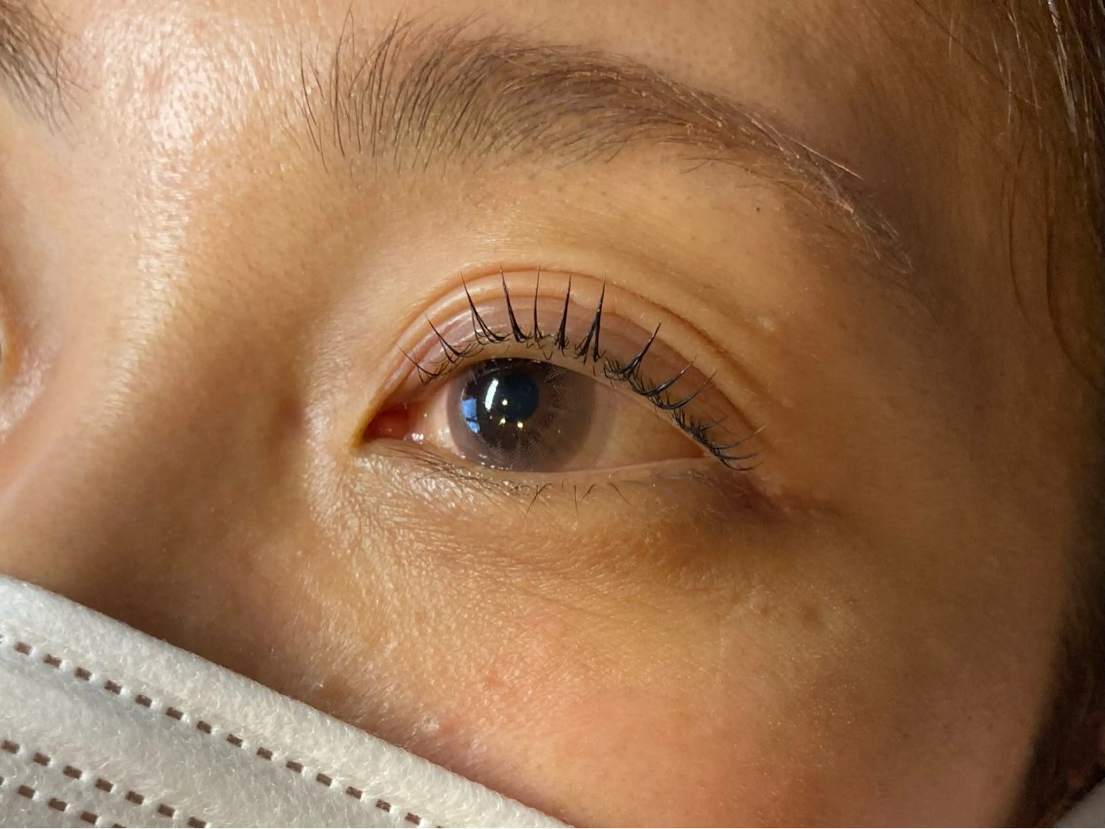 ラッシュリフト(上or下のみ)の写真