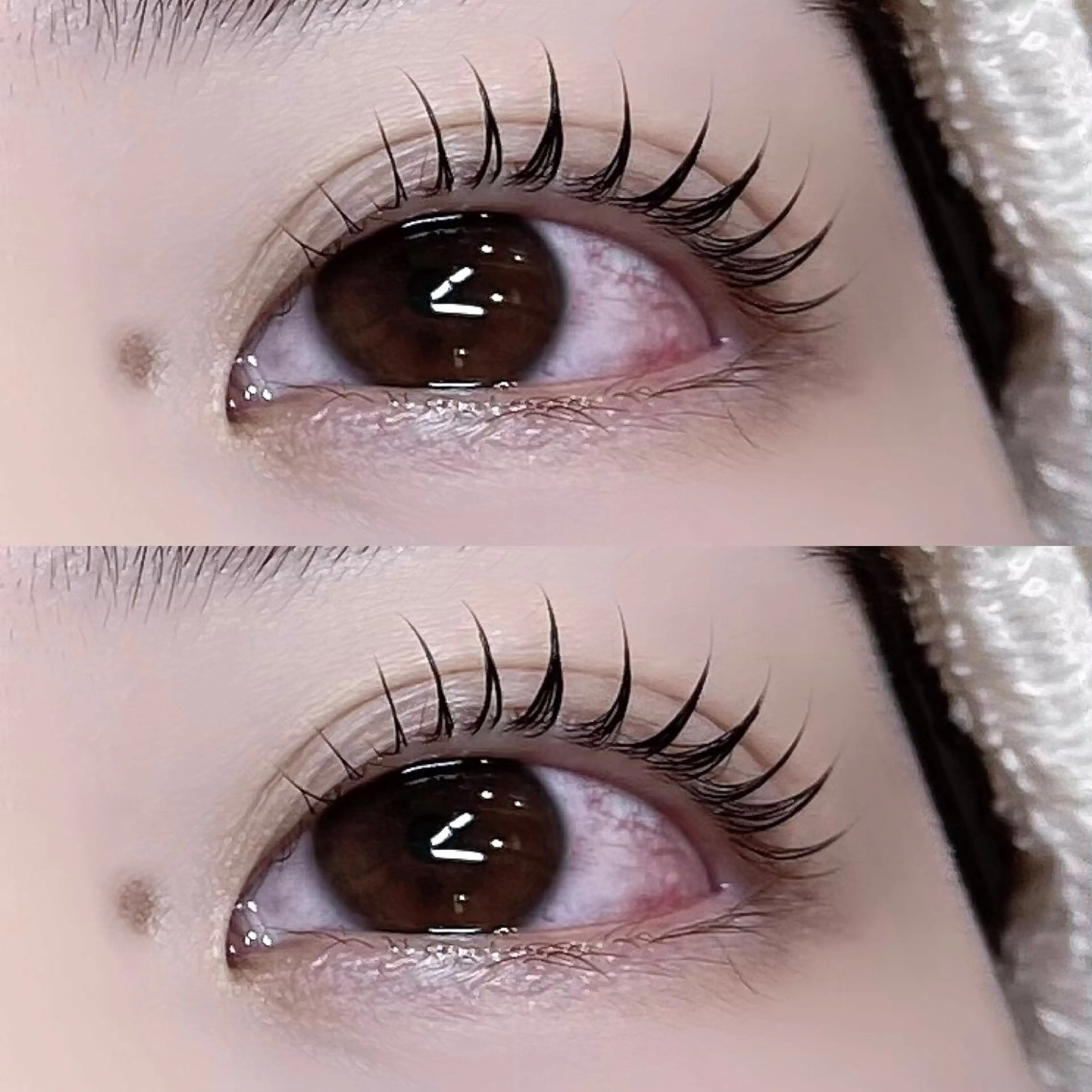 マツエク・マツパ マツパ eyelash salon Pupu lash 流山おおたかの森所属・Pupu lash  𓃱𓂃のその他イメージ