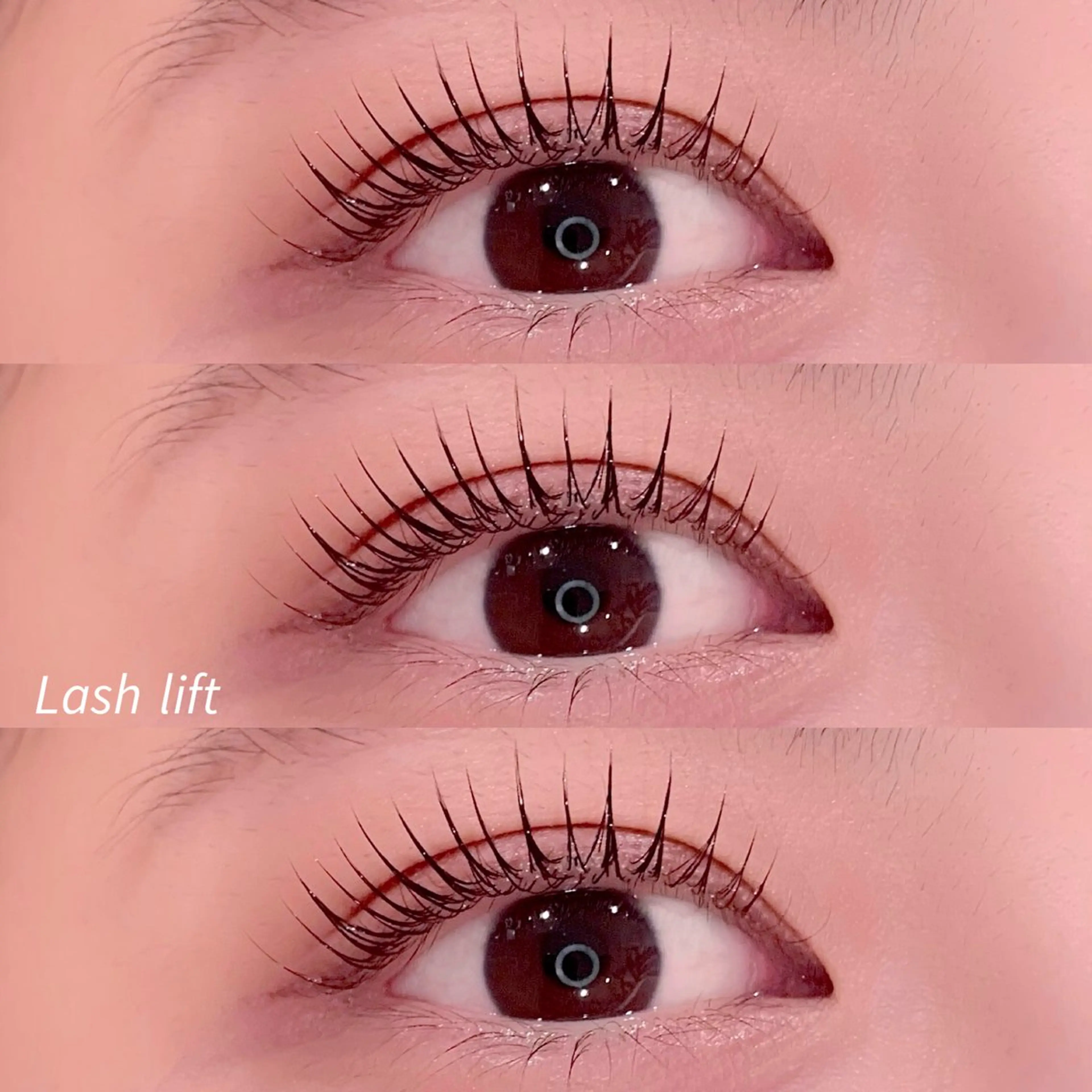 コーティング剤1本セット🪡ラッシュリフト&アイシャンプー&ケラチンTR🧴♡の写真