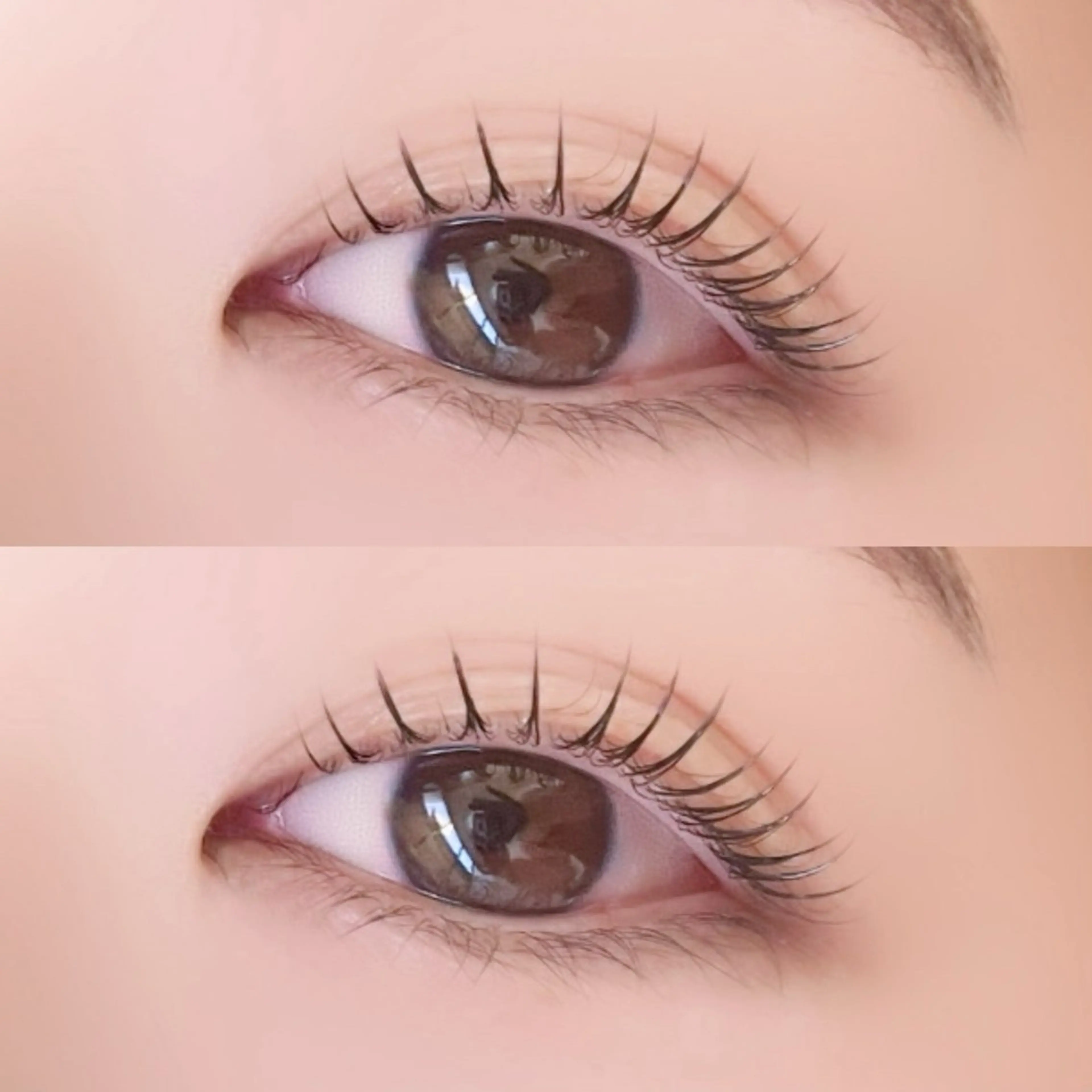 【ご新規様限定】ラッシュリフトorパリジェンヌラッシュリフト🌟の写真