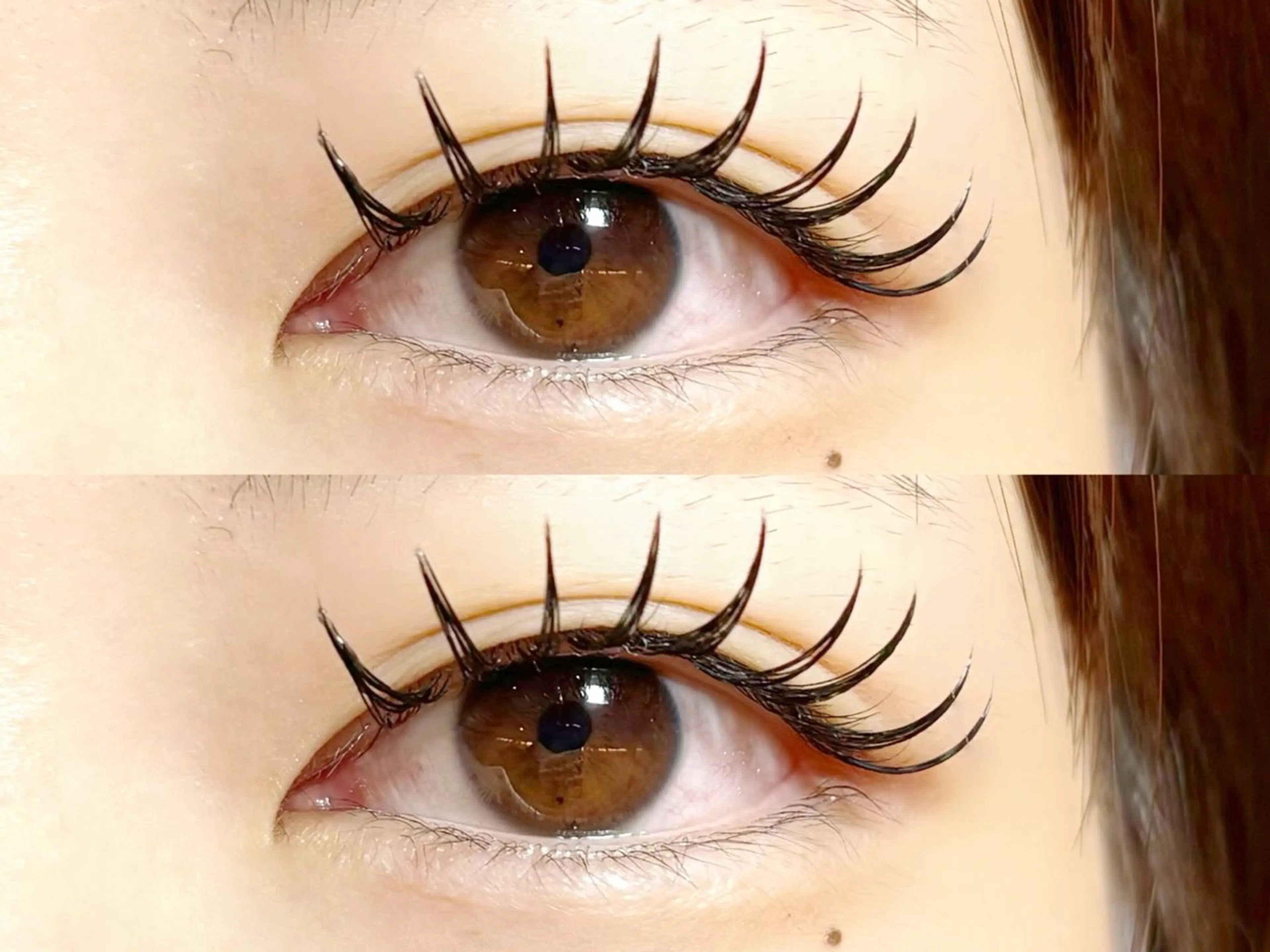 ãããšã¯ã»ããã ãããšã¯ TOP æåŠ»ã®ãããšã¯ã»ããããã¶ã€ã³