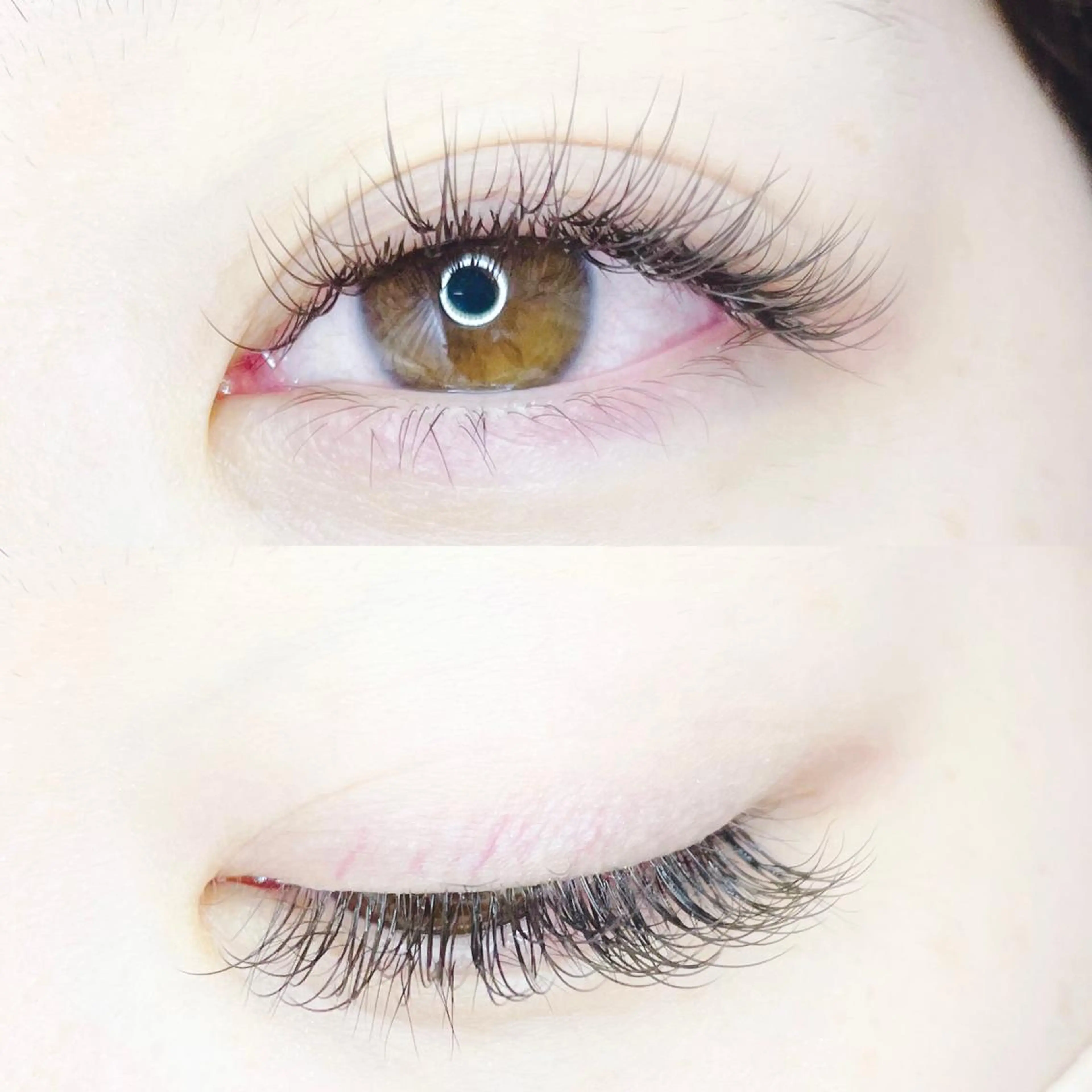 【LED💡】プレミアムセーブル🎀100本(オフ込み)の写真