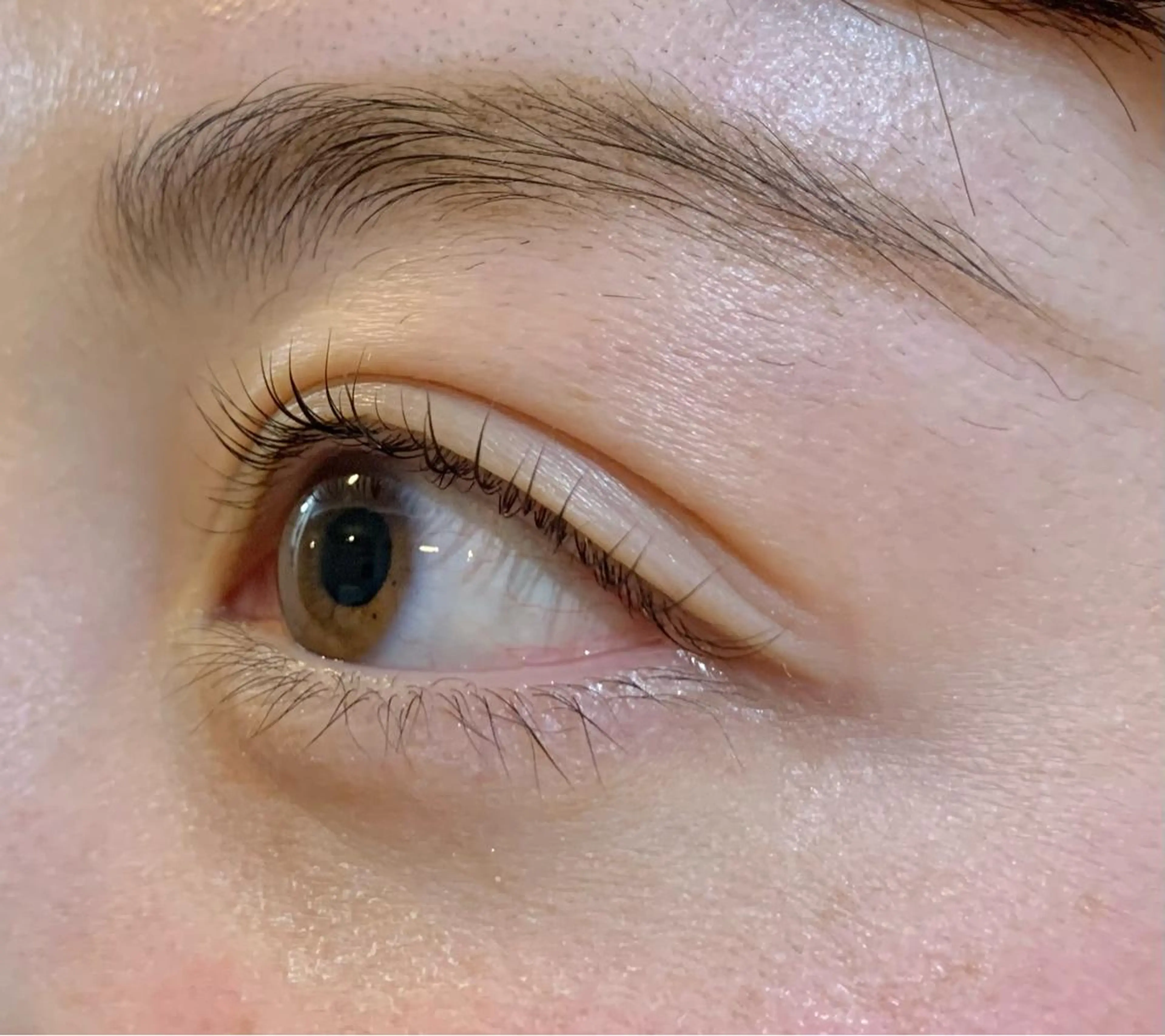 マツエク・マツパ Dカール 小野寺 舞の眉毛・アイブロウイメージ