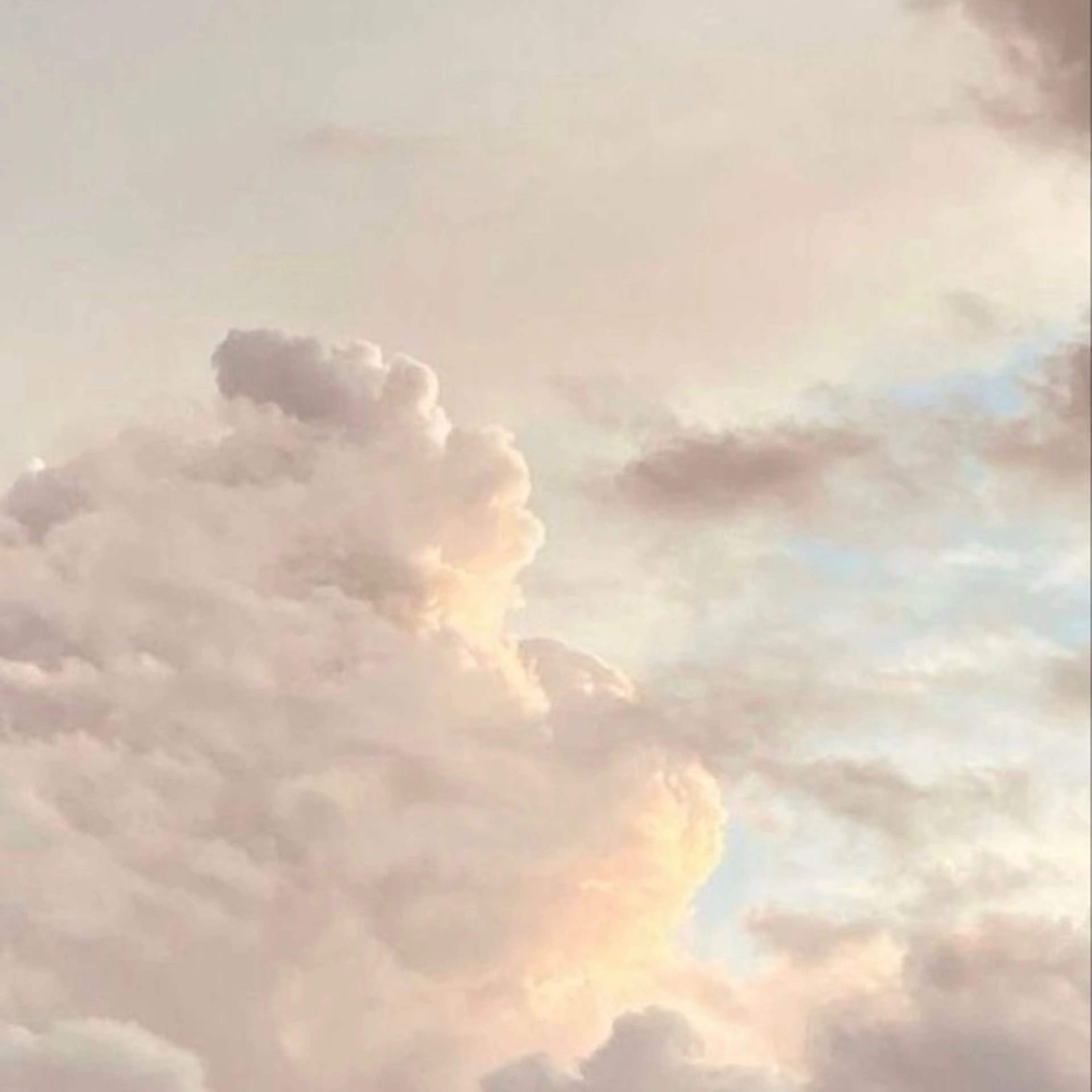 Bianca 武蔵小金井　しぎはらのネイルデザイン