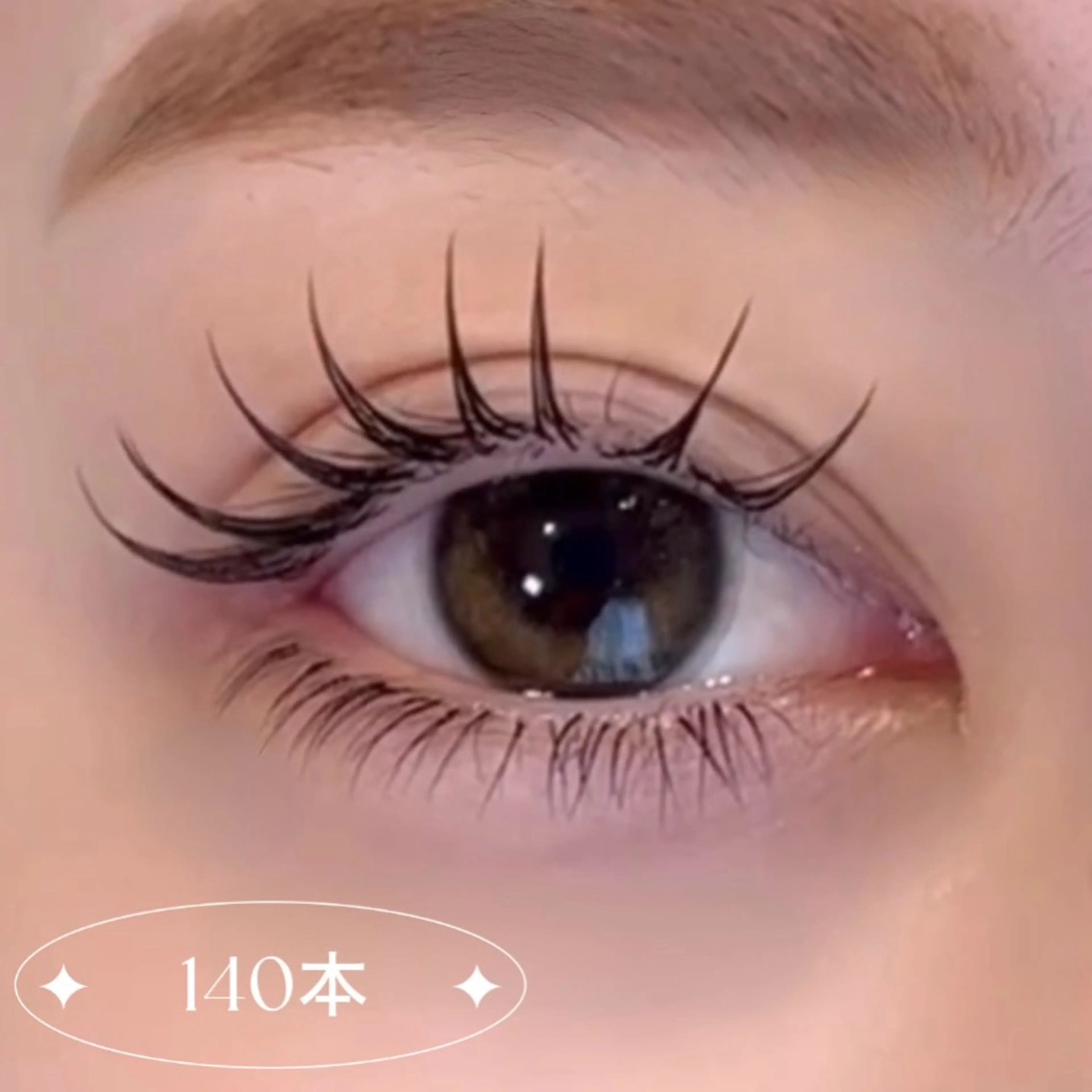 フラットラッシュ｜140本の写真