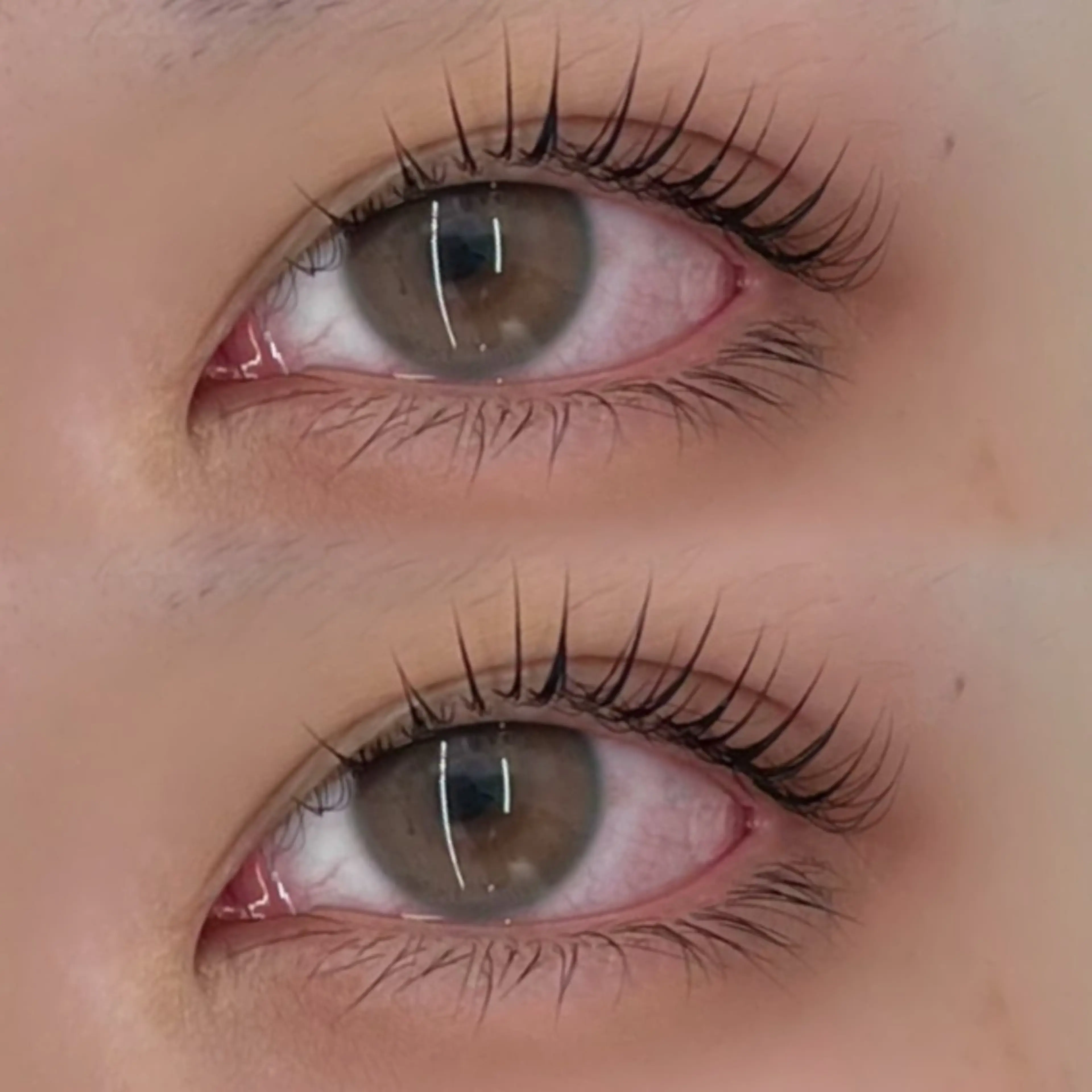 マツエク・マツパ diptymoila hinataのマツエク・マツパデザイン