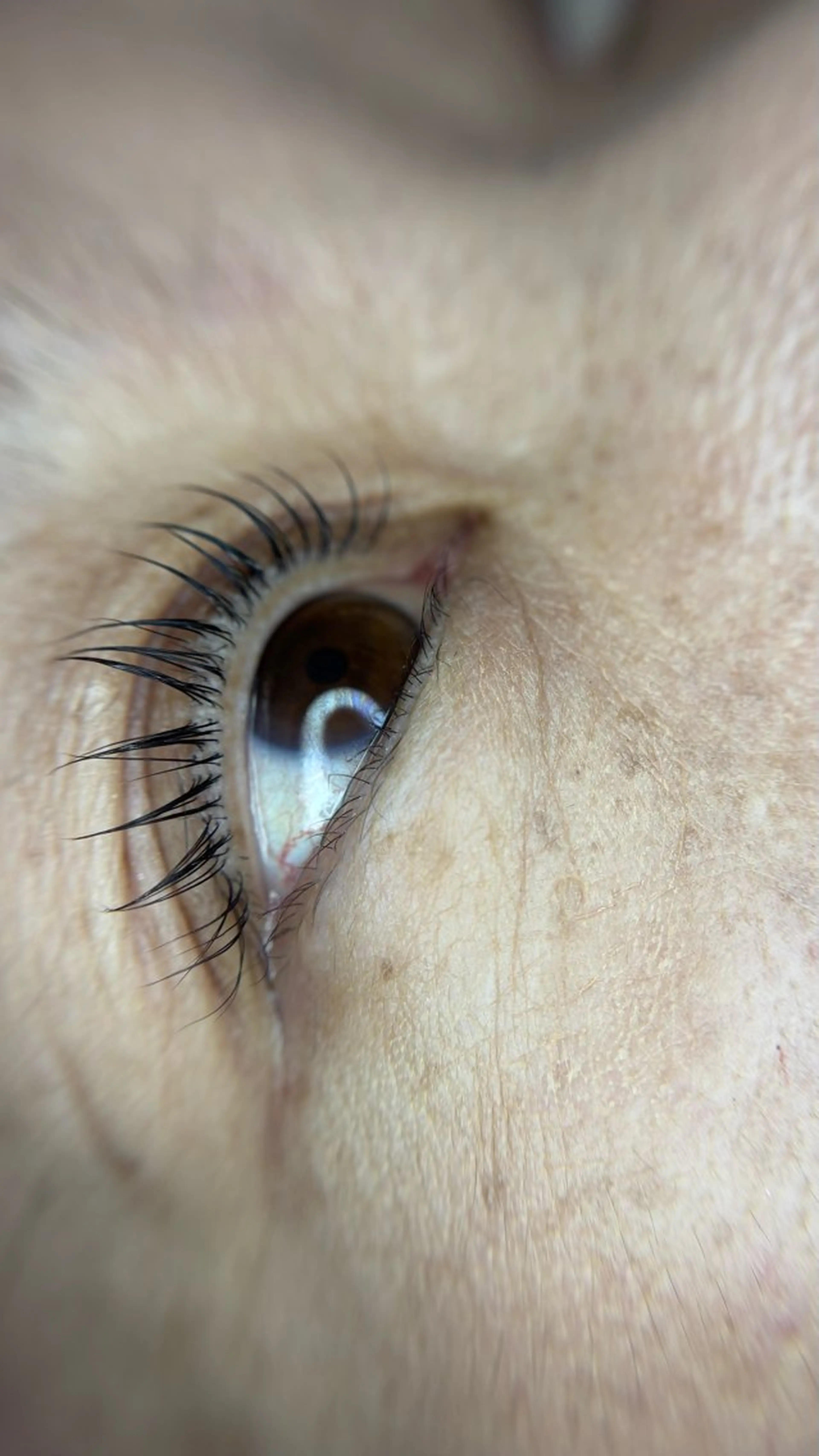 マツエク・マツパ ヤマカベ アのマツエク・マツパデザイン