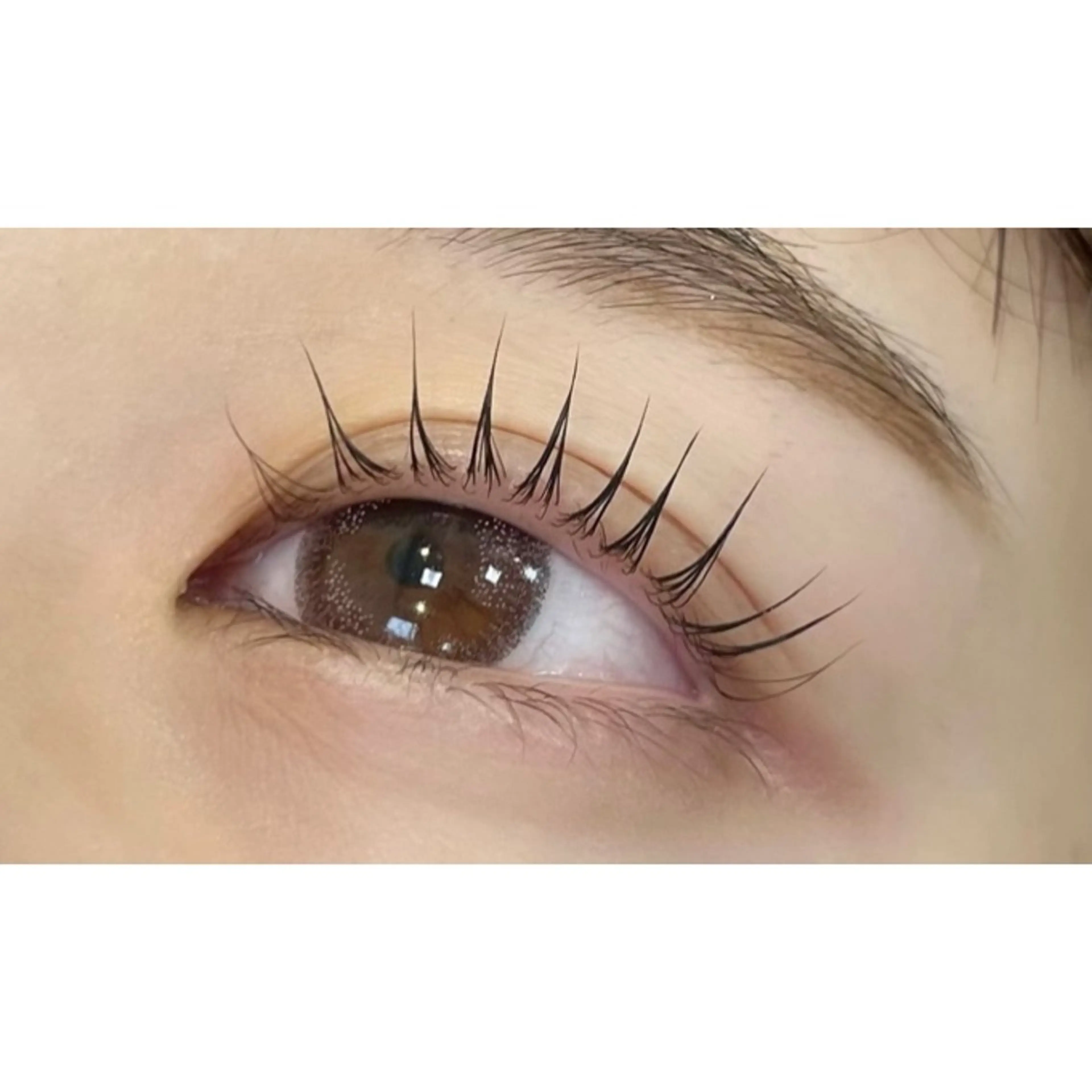 マツエク・マツパ アルターエクラ ⟡.🎼 mikiのマツエク・マツパデザイン