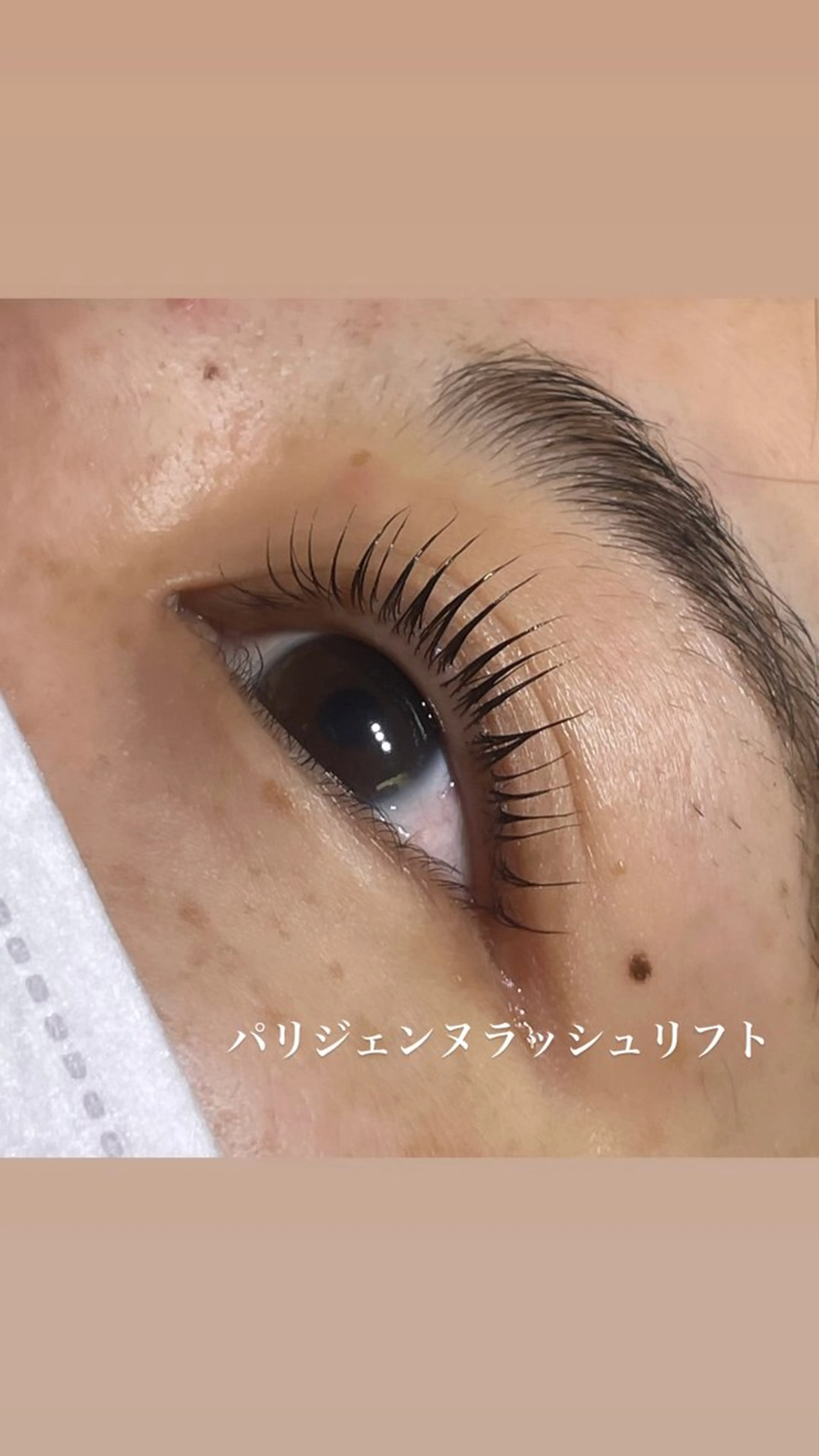 マツエク・マツパ パリジェンヌラッシュリフト 🍀MAQUIA 新札幌店 吉田真桜のマツエク・マツパデザイン