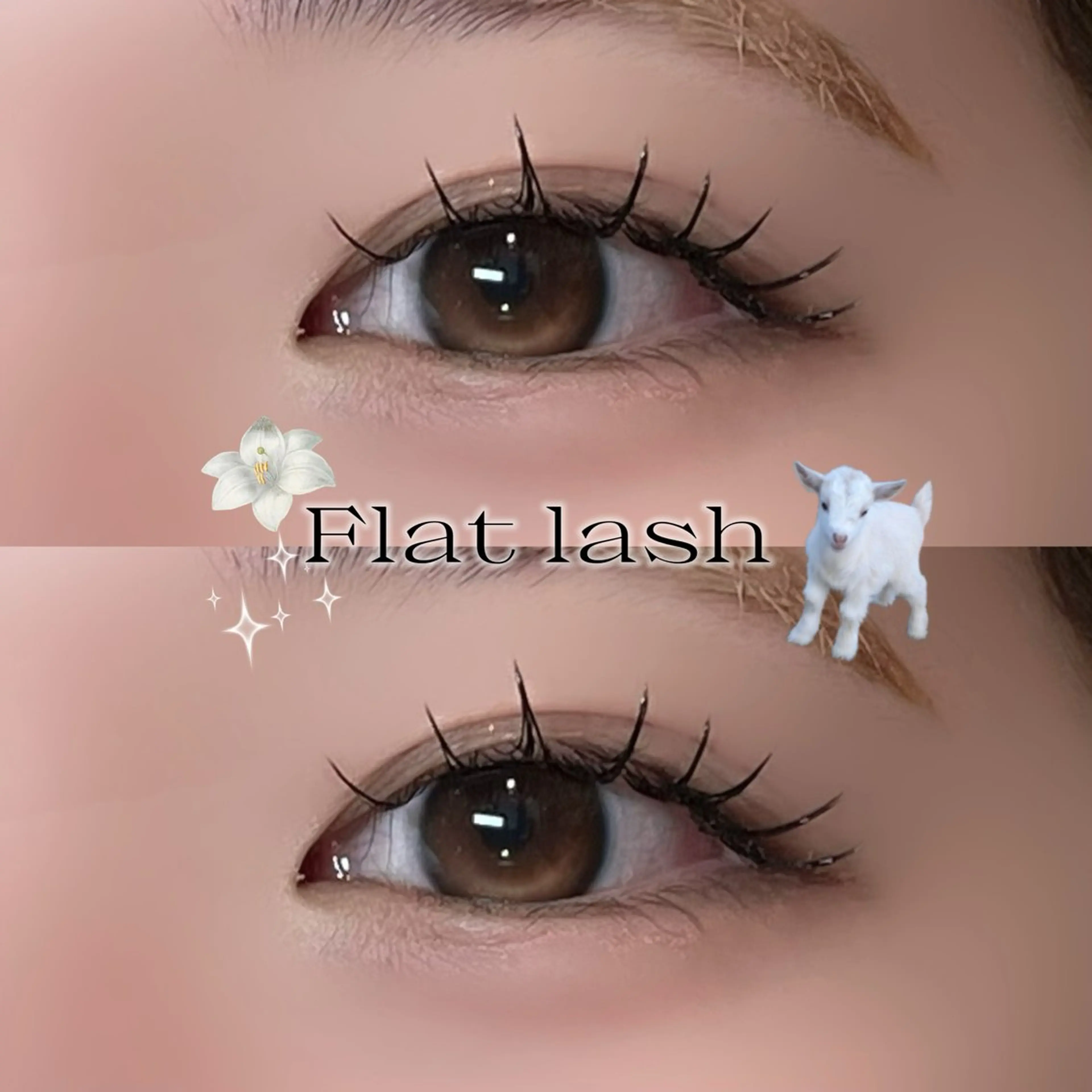 マツエク・マツパ 束感まつ毛 フラットラッシュ マツエク ayano🐾 eightのマツエク・マツパデザイン