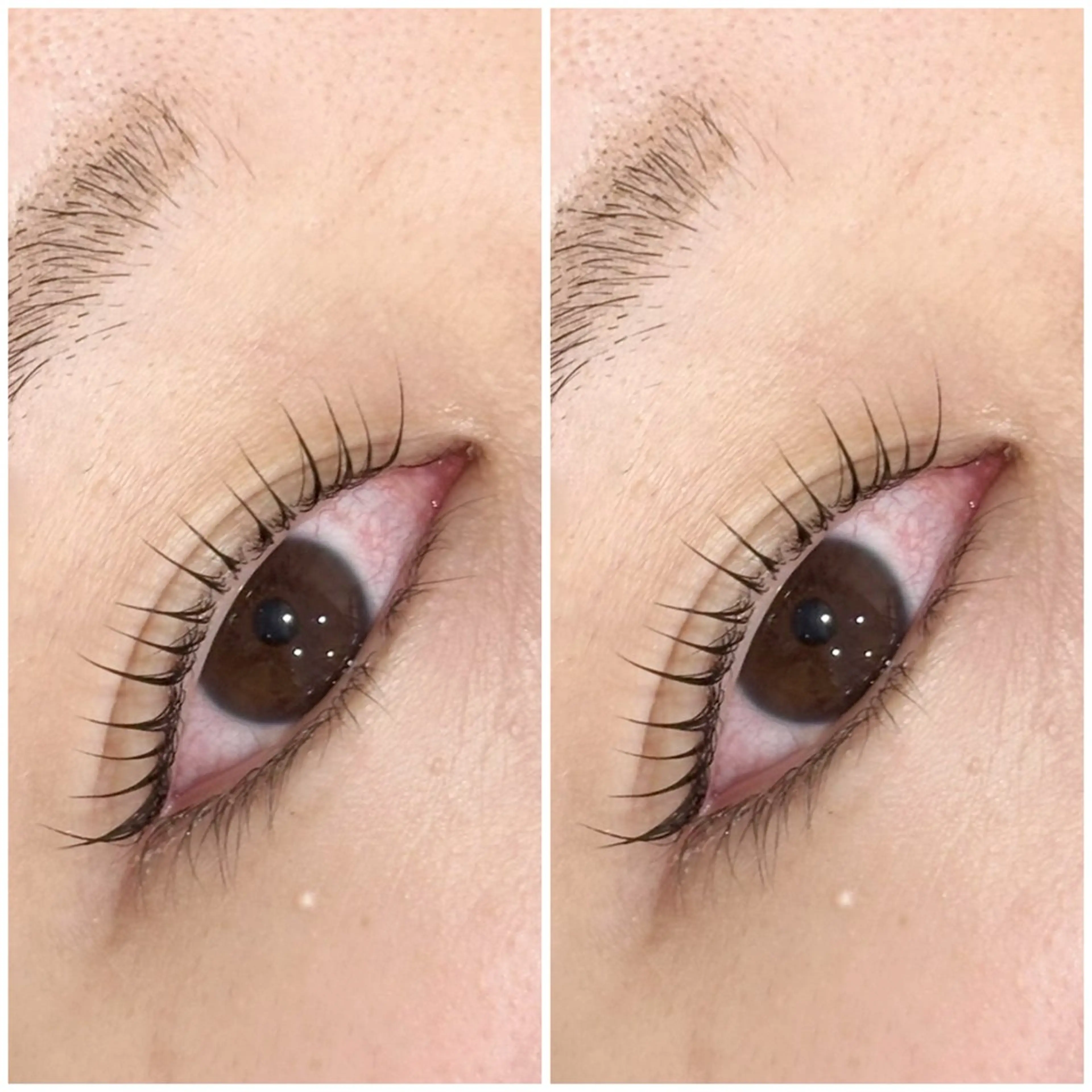 マツエク・マツパ マツパ 石川 陽菜 ☆KARERA東川口のマツエク・マツパデザイン