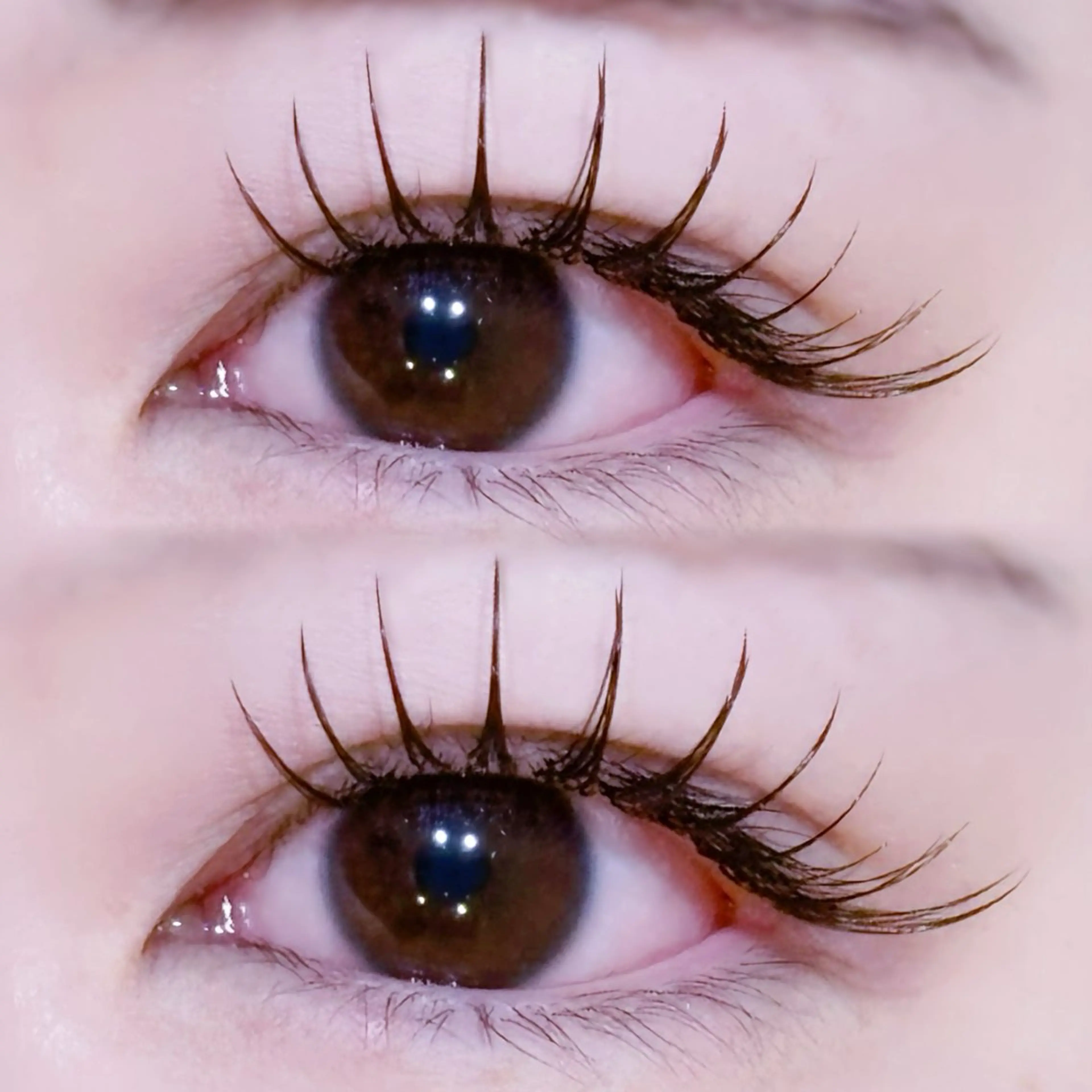 マツエク・マツパ EYELA🤍 蓜島のマツエク・マツパデザイン