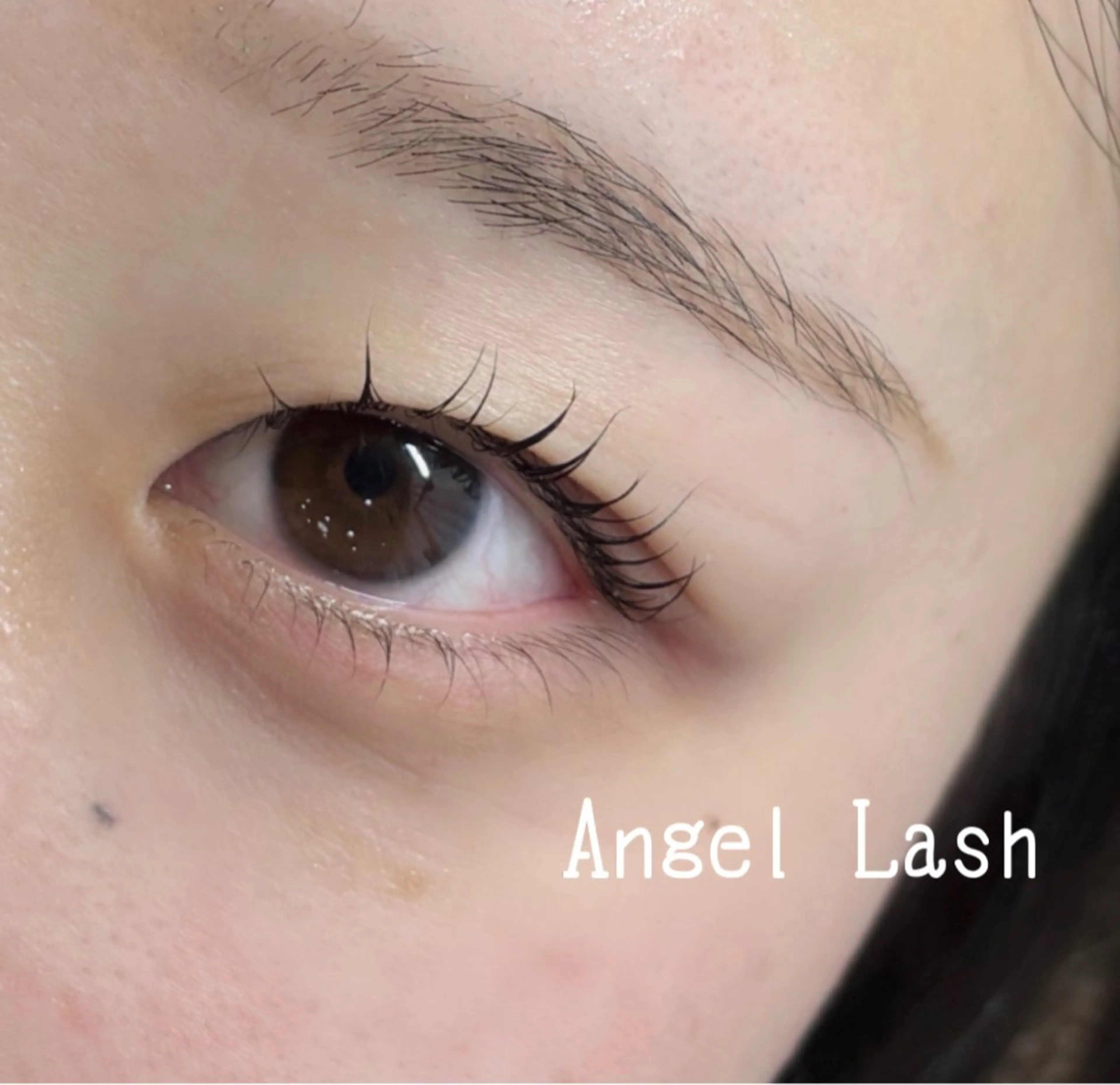 マツエク・マツパ 束感まつ毛 まつげパーマ 下まつげエクステ AngleLash hayashiのマツエク・マツパデザイン